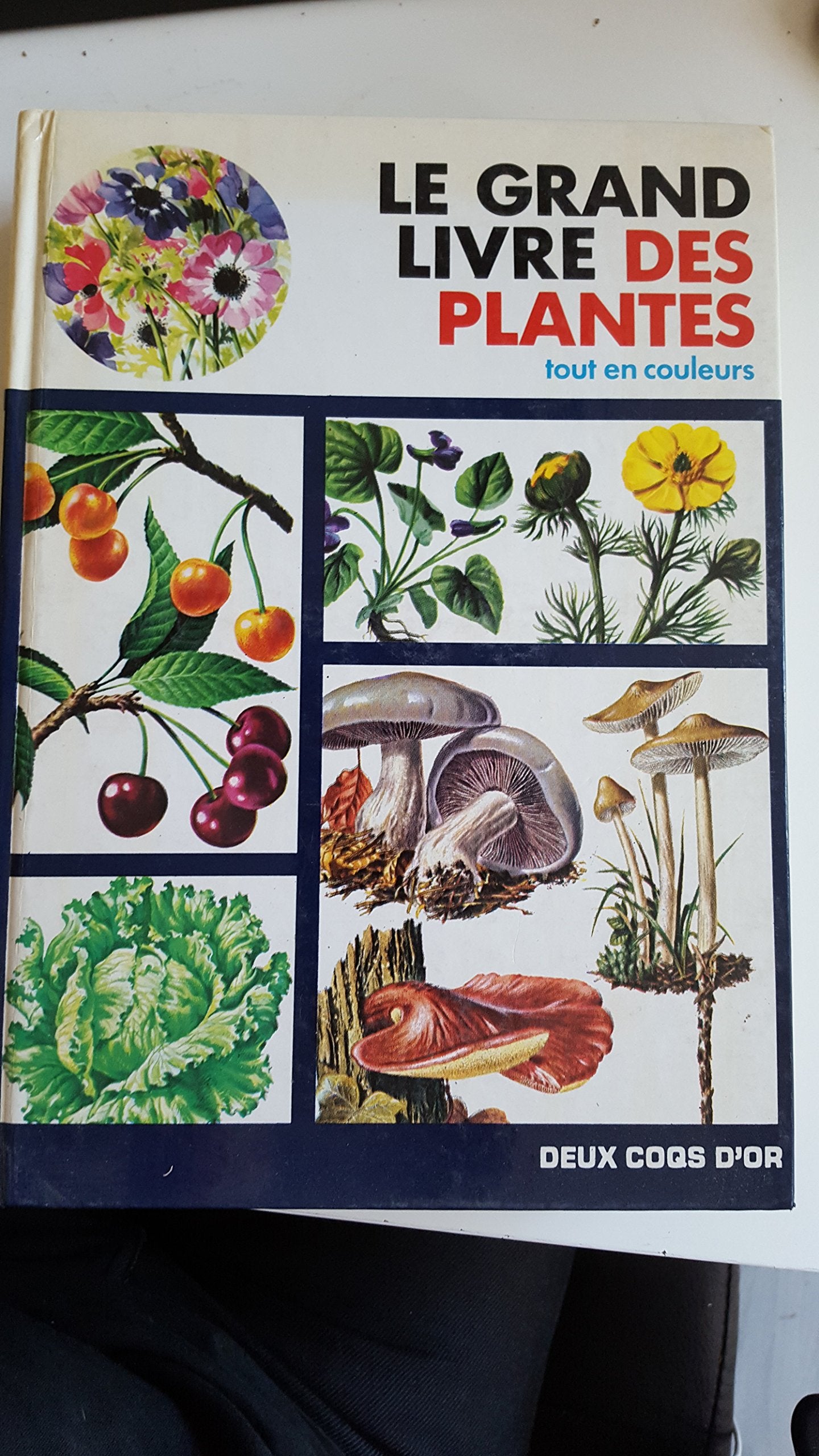 Le Grand livre des plantes Books