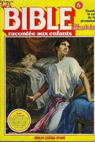 La Bible illustrée racontée aux enfants : 06 : David, le roi de la promesse book
