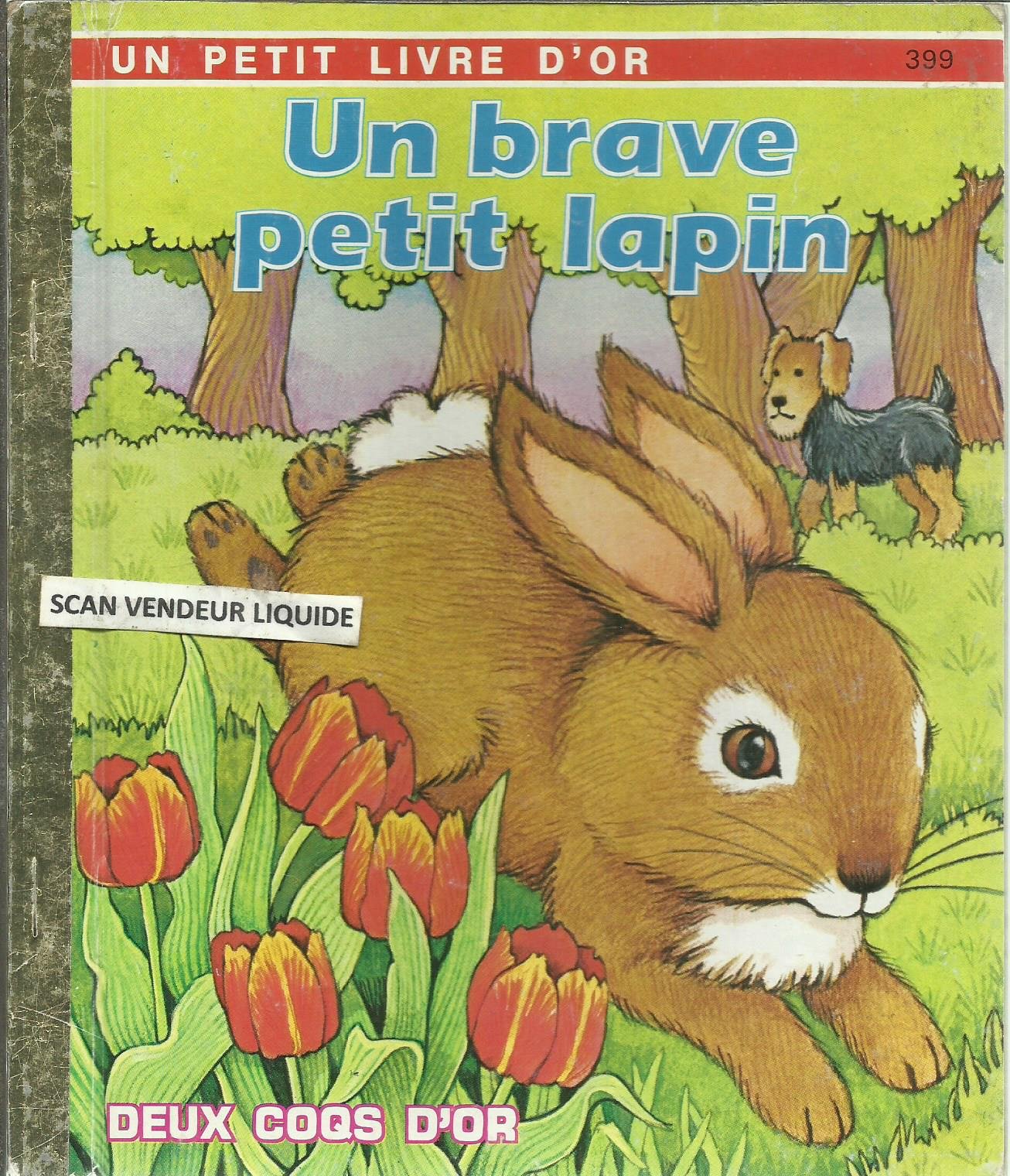 Un Brave petit lapin (Un Petit livre d'or) book