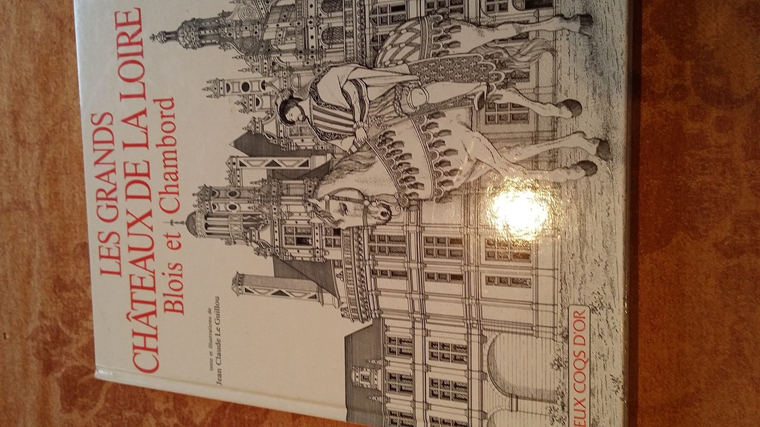 Les grands châteaux de la Loire: Blois et Chambord Books