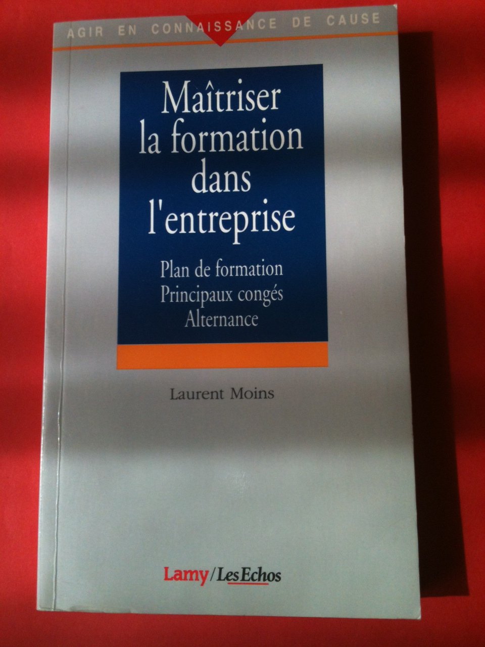 Maîtriser la formation dans l'entreprise: Plan de formation, principaux congés, alternance book