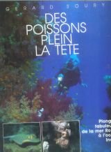 Des Poissons plein la tête book