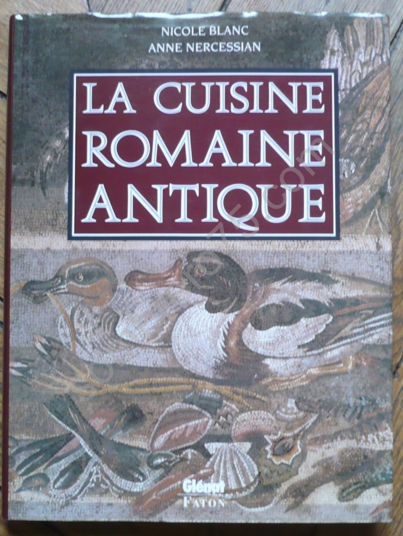 La Cuisine romaine antique book