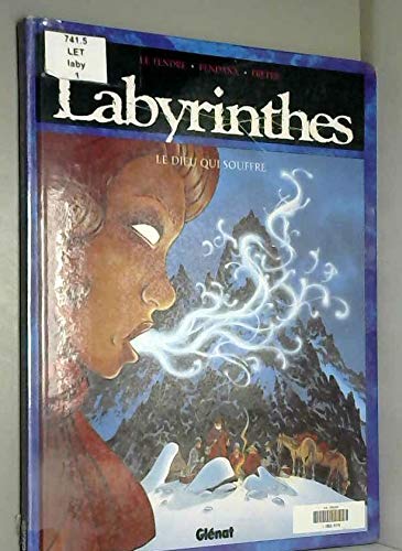 Labyrinthes, tome 1 : Le Dieu qui souffre book