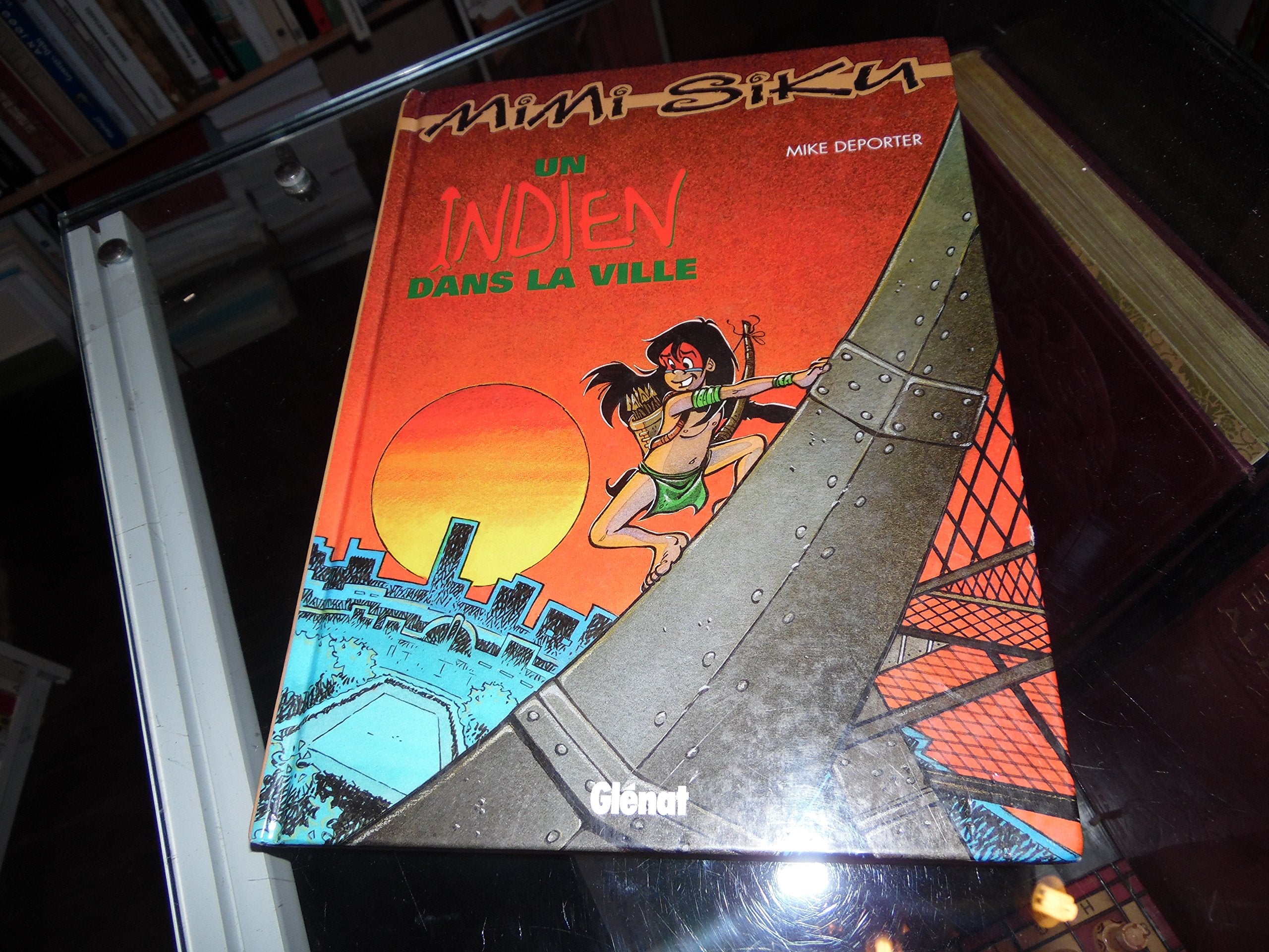 Un Indien dans la ville book