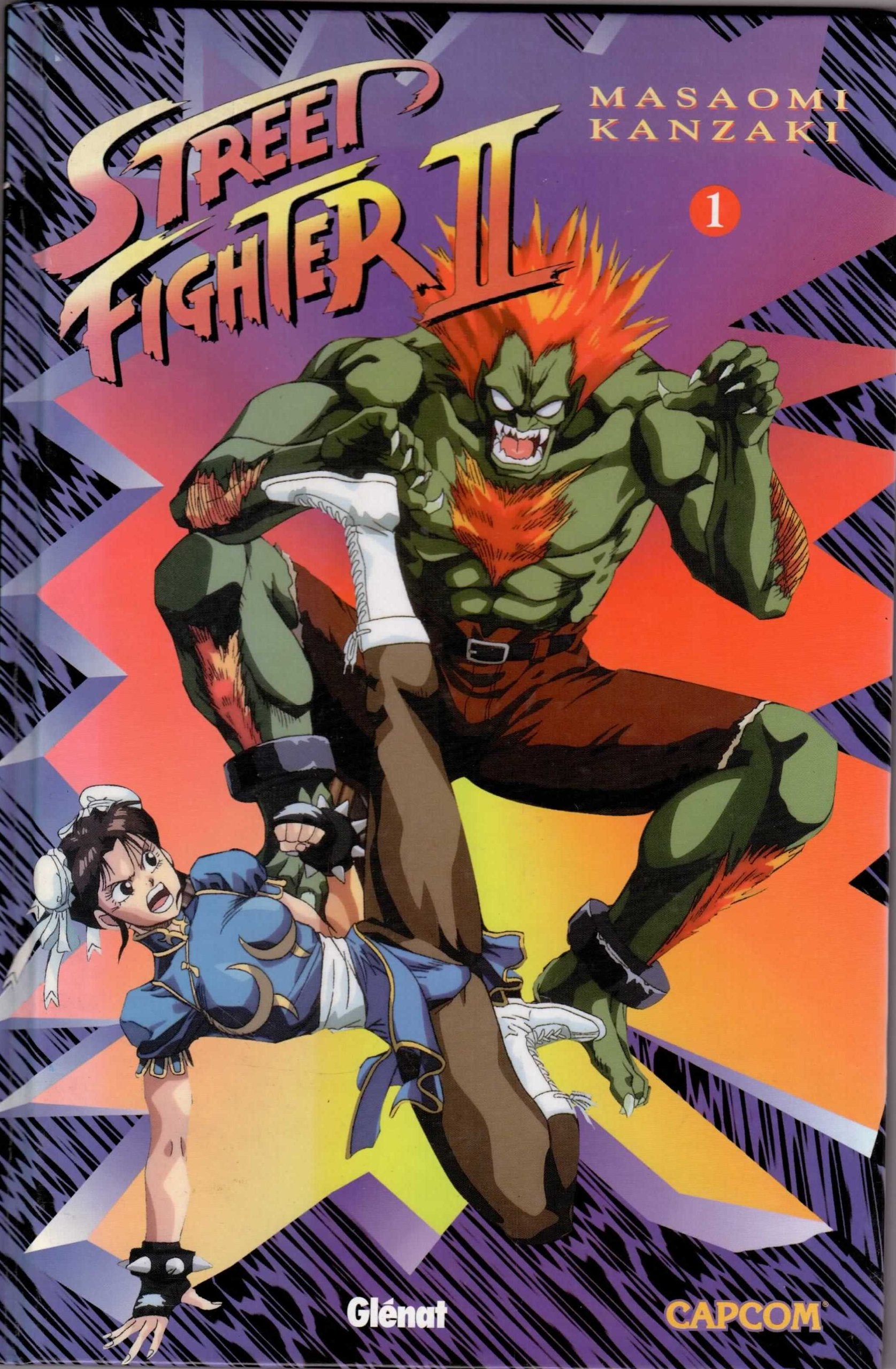 Street Fighter Ii book
