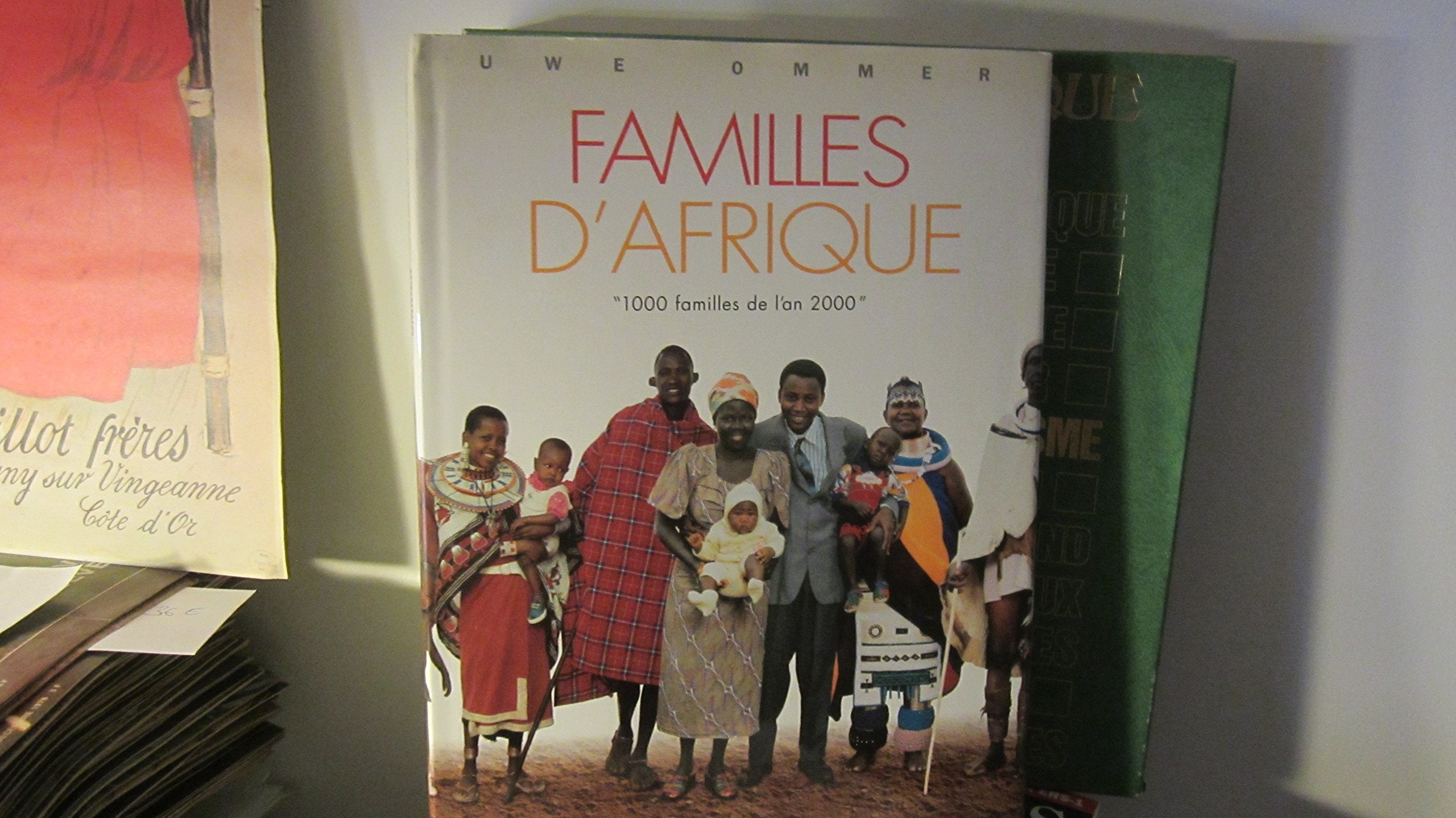 Familles d'Afrique: "1000 familles de l'an 2000" Books