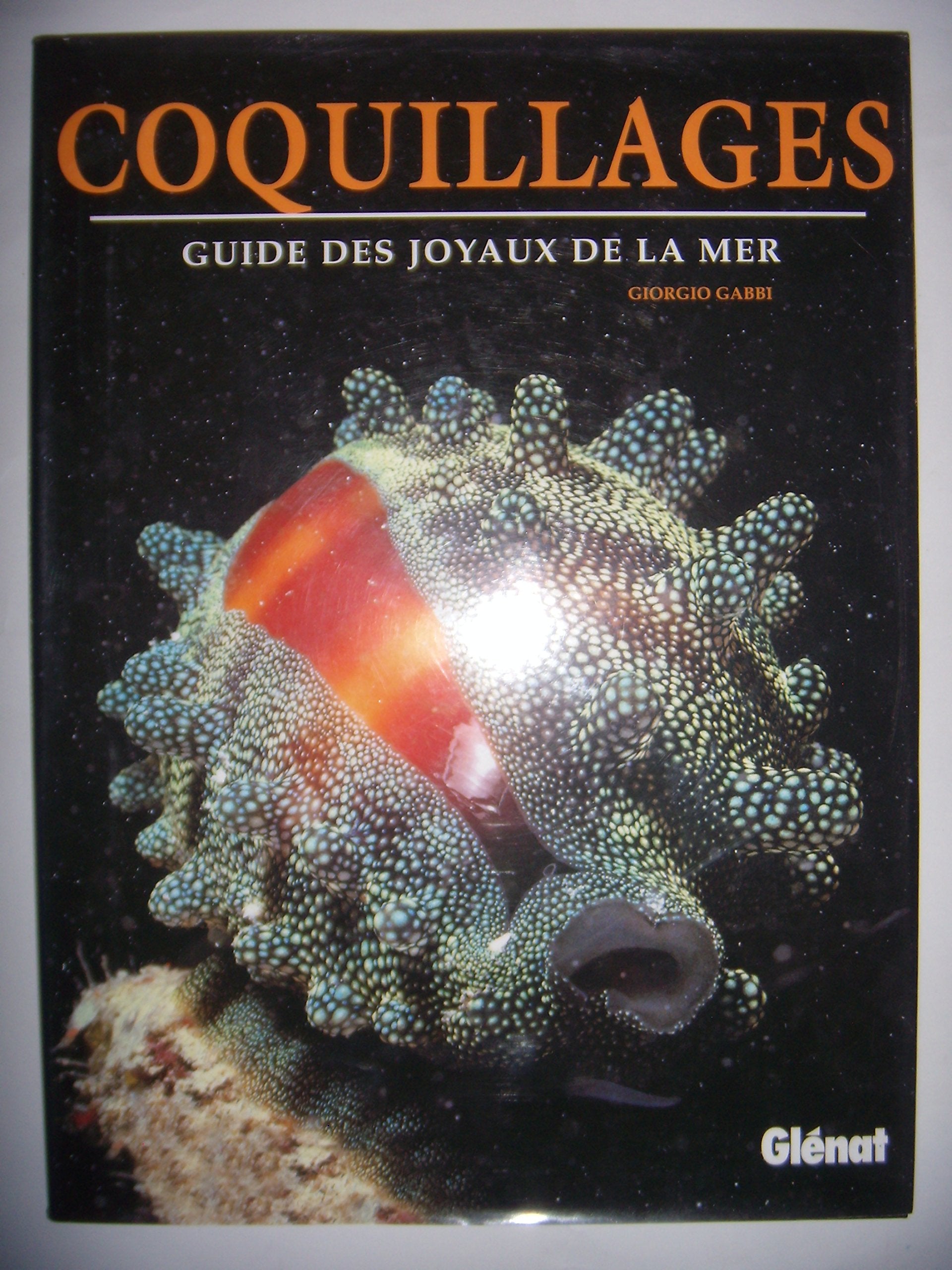 Les coquillages : le guide des joyaux de la mer book