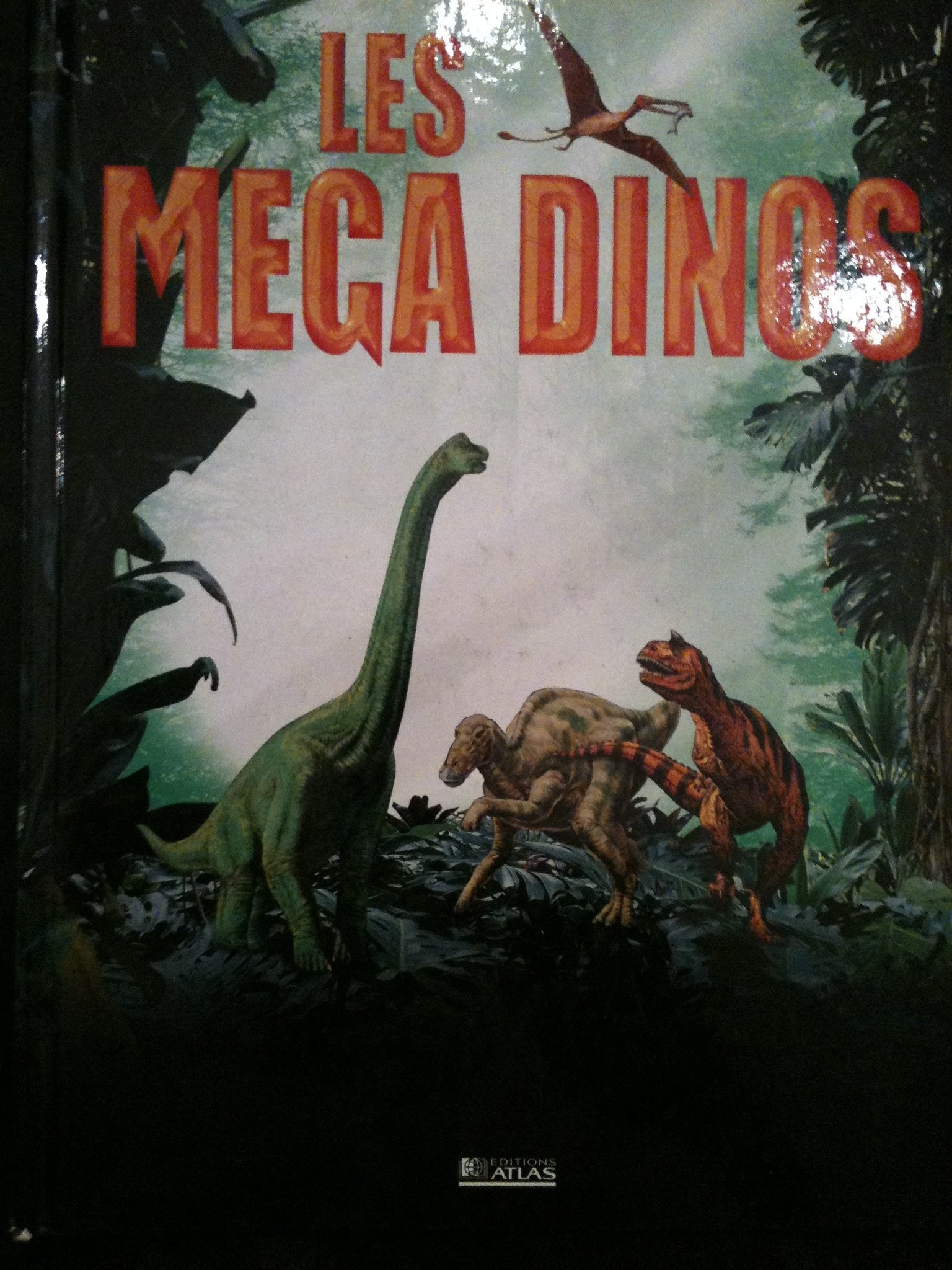 Mega Dinos Pack 4 Articles : Un Livre Illustre, Une Maquette De T-Rex, Un Poster Geant, Un Pop-Up En 3d Books