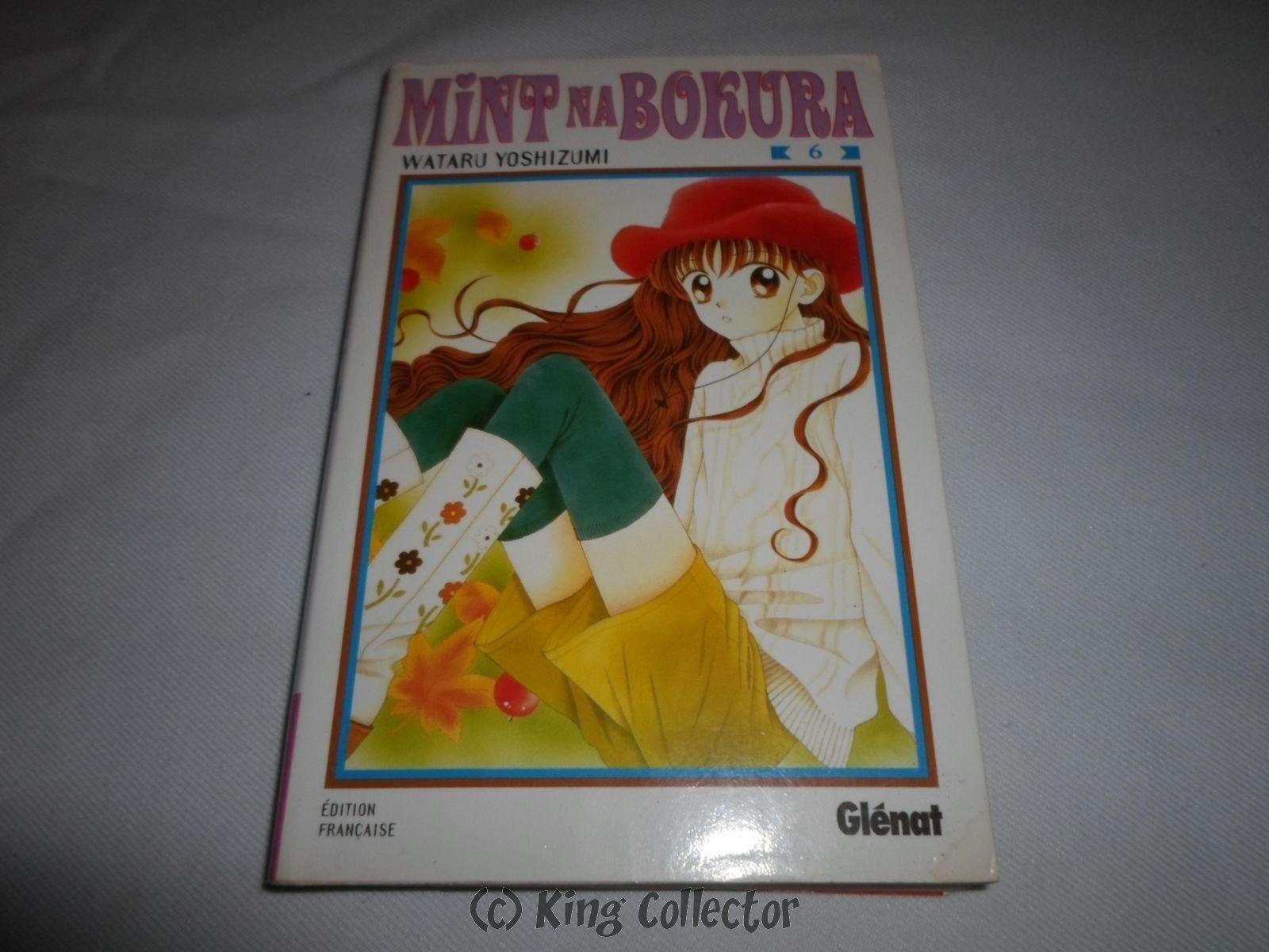 Mint Na Bokura, tome 6 Manga