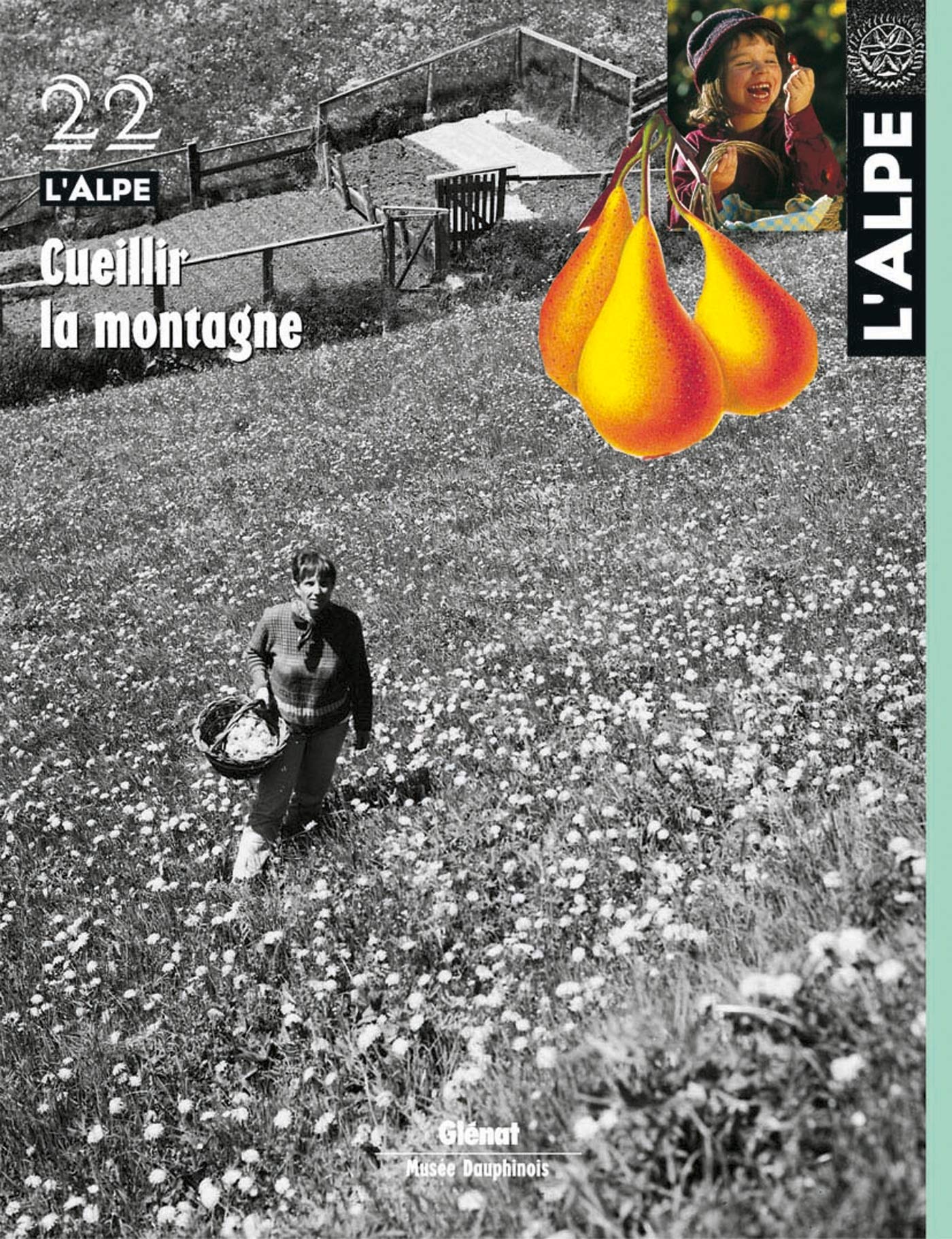 L'Alpe 22 - Cueillir la montagne Social Sciences