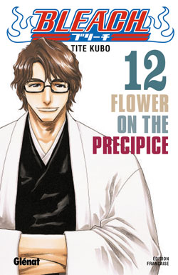 Bleach. Vol. 12. Flower on the precipice Manga