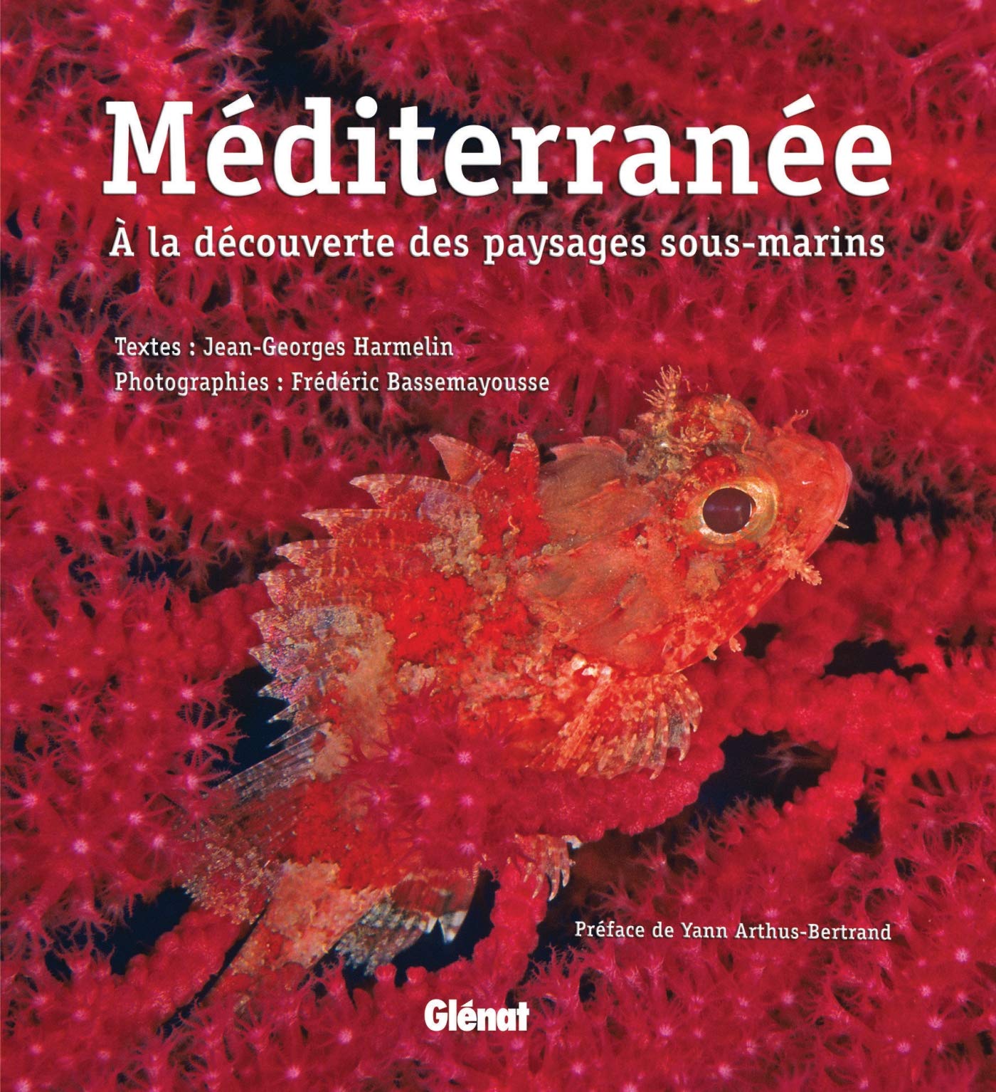 Méditerranée: À la découverte des paysages sous-marins Leisure, Home & Garden