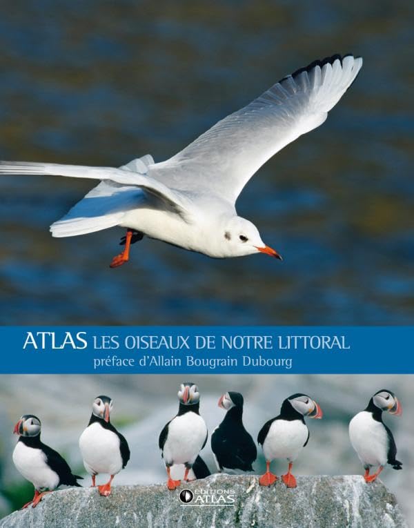 Les oiseaux de notre littoral: Préface d'Allain Bougrain Dubourg Leisure, Home & Garden