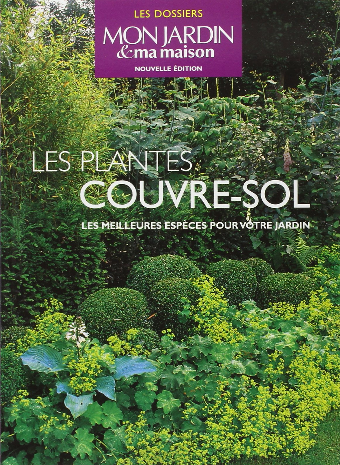 Les plantes couvre-sol: Les meilleures espèces pour votre jardin Leisure, Home & Garden