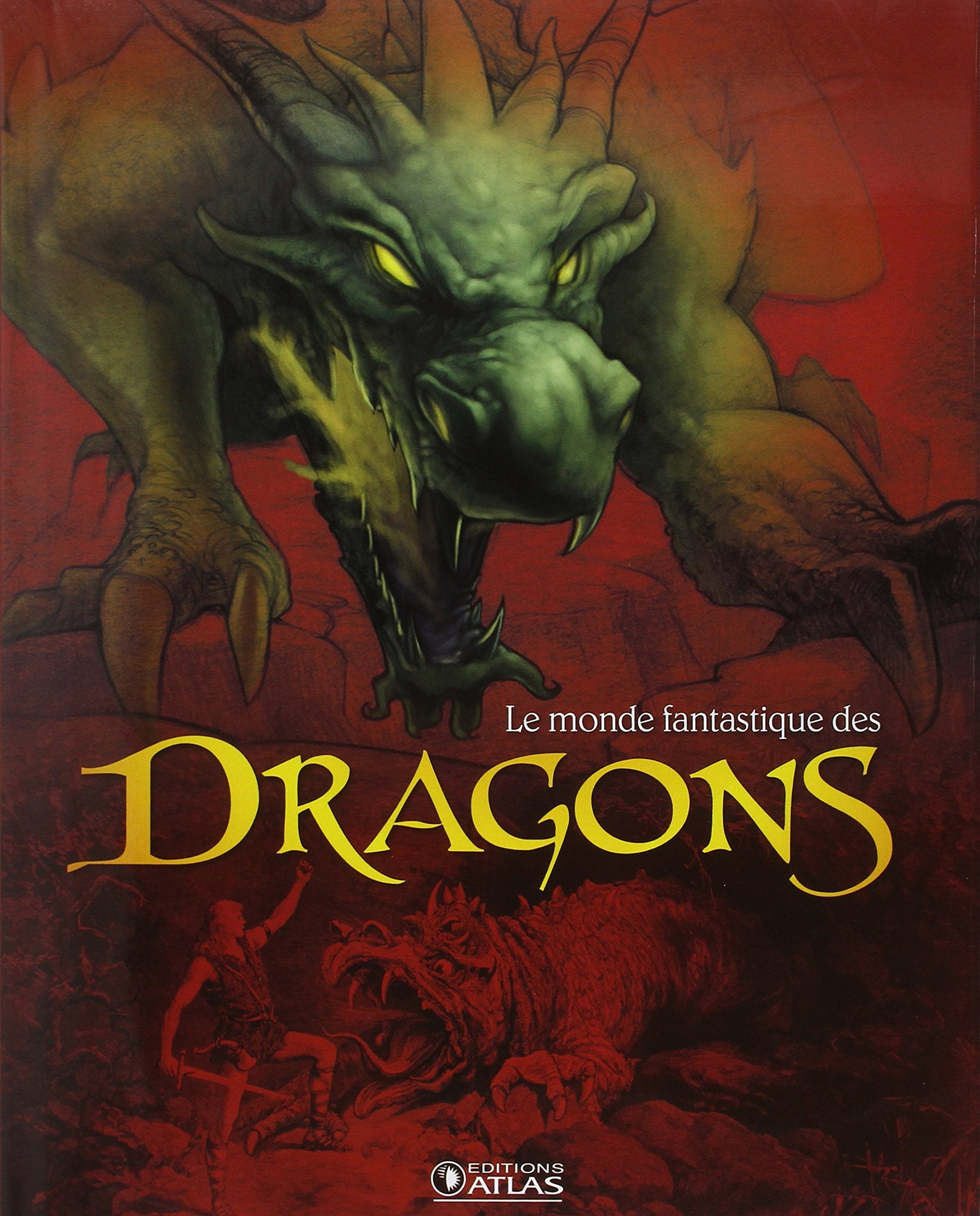 Le monde fantastique des dragons book