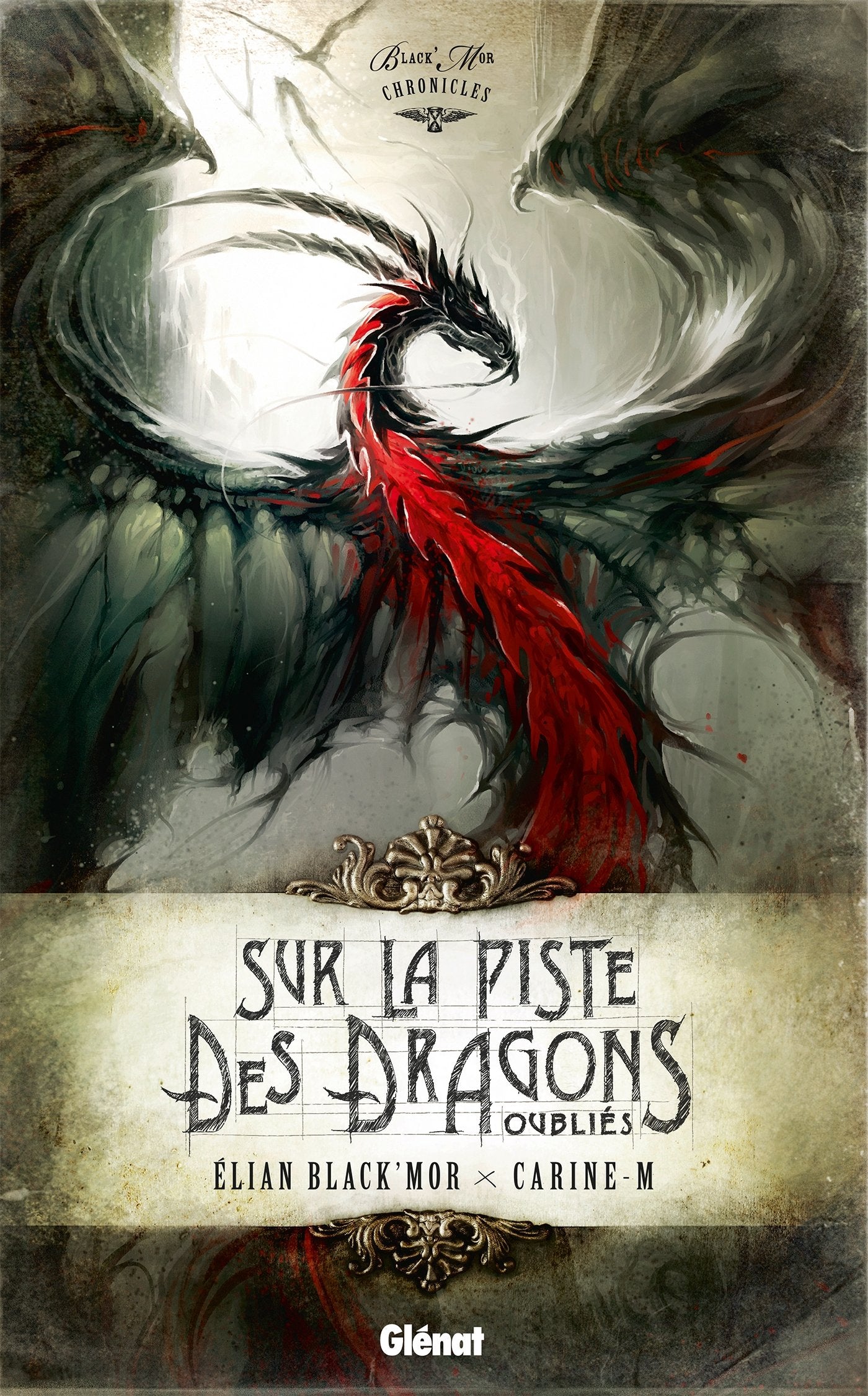 Sur la Piste des Dragons Oubliés: Black'Mor Chronicles, Premier cycle book