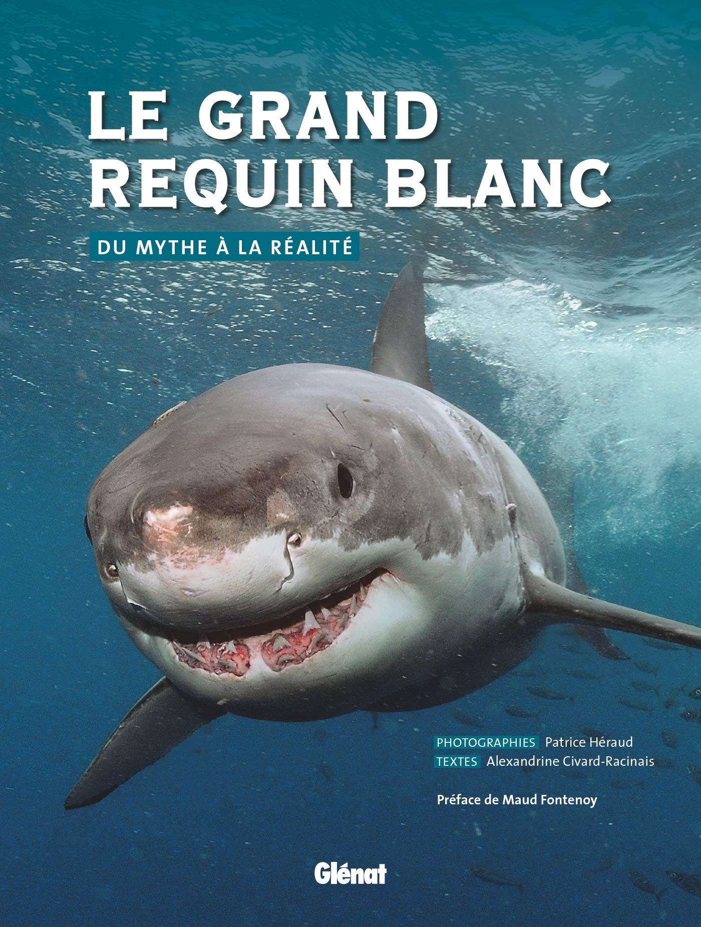 Le grand requin blanc: Du mythe à la réalité Books
