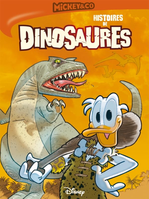Histoires de dinosaures book