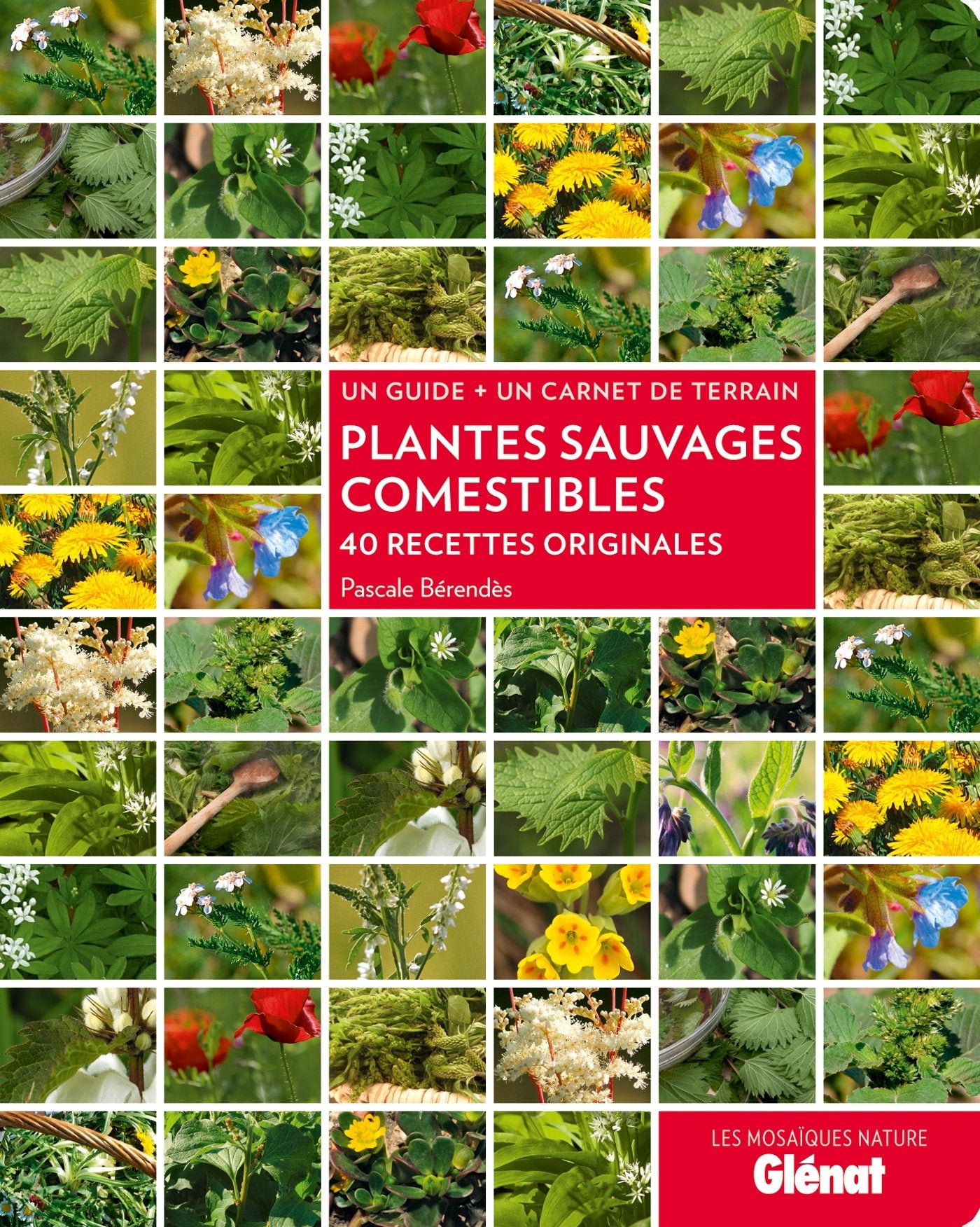 Plantes sauvages comestibles: 40 recettes originales Film, Art & Culture