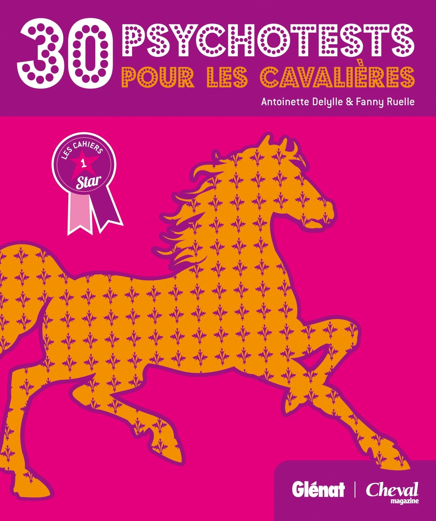 30 psychotests pour les cavalières: Toi et ton cheval book
