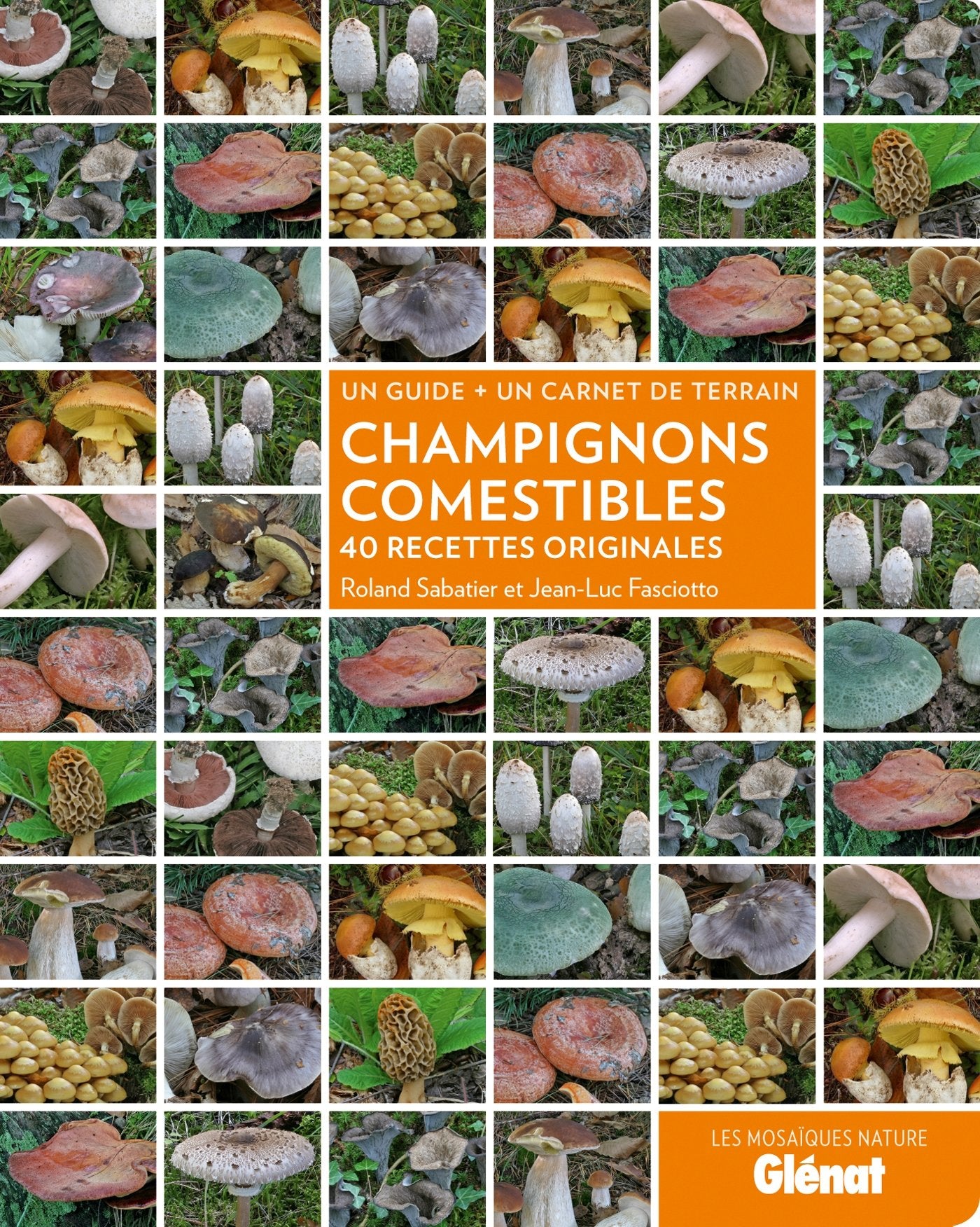Champignons comestibles: 40 recettes originales Leisure, Home & Garden