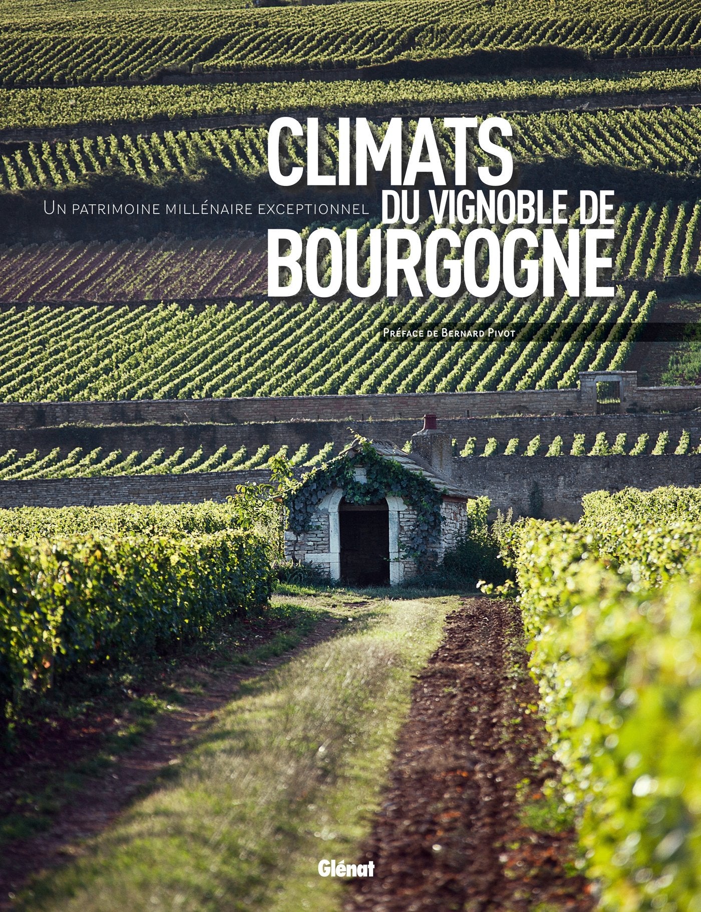 Climats du vignoble de Bourgogne: Un patrimoine millénaire exceptionnel Film, Art & Culture