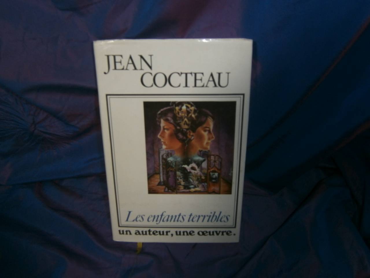 Les Enfants terribles (Un Auteur, une oeuvre) book