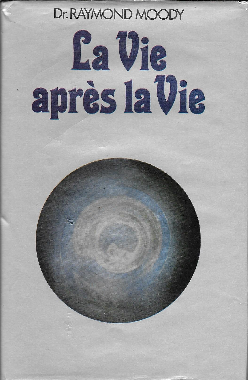 La Vie après la vie book