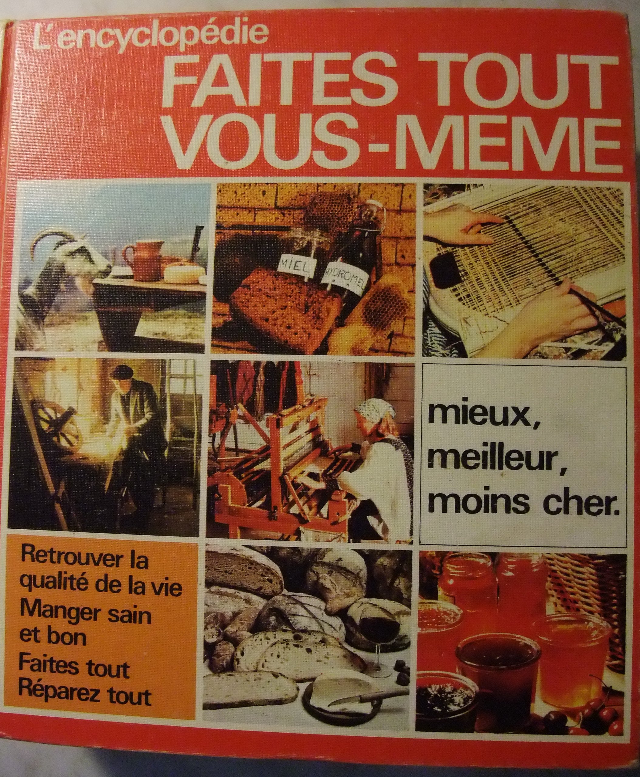 L'Encyclopédie faites tout vous-même : Artisanat, bricolage, cuisine Books
