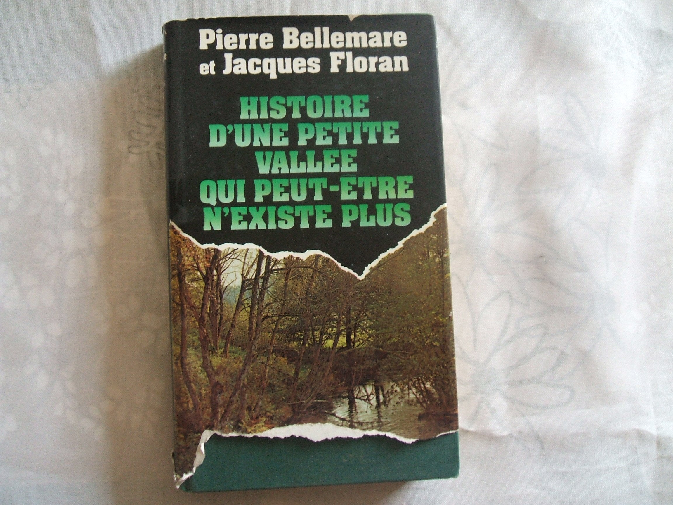 Histoire d'une petite vallée qui peut-être n'existe plus : Récits book