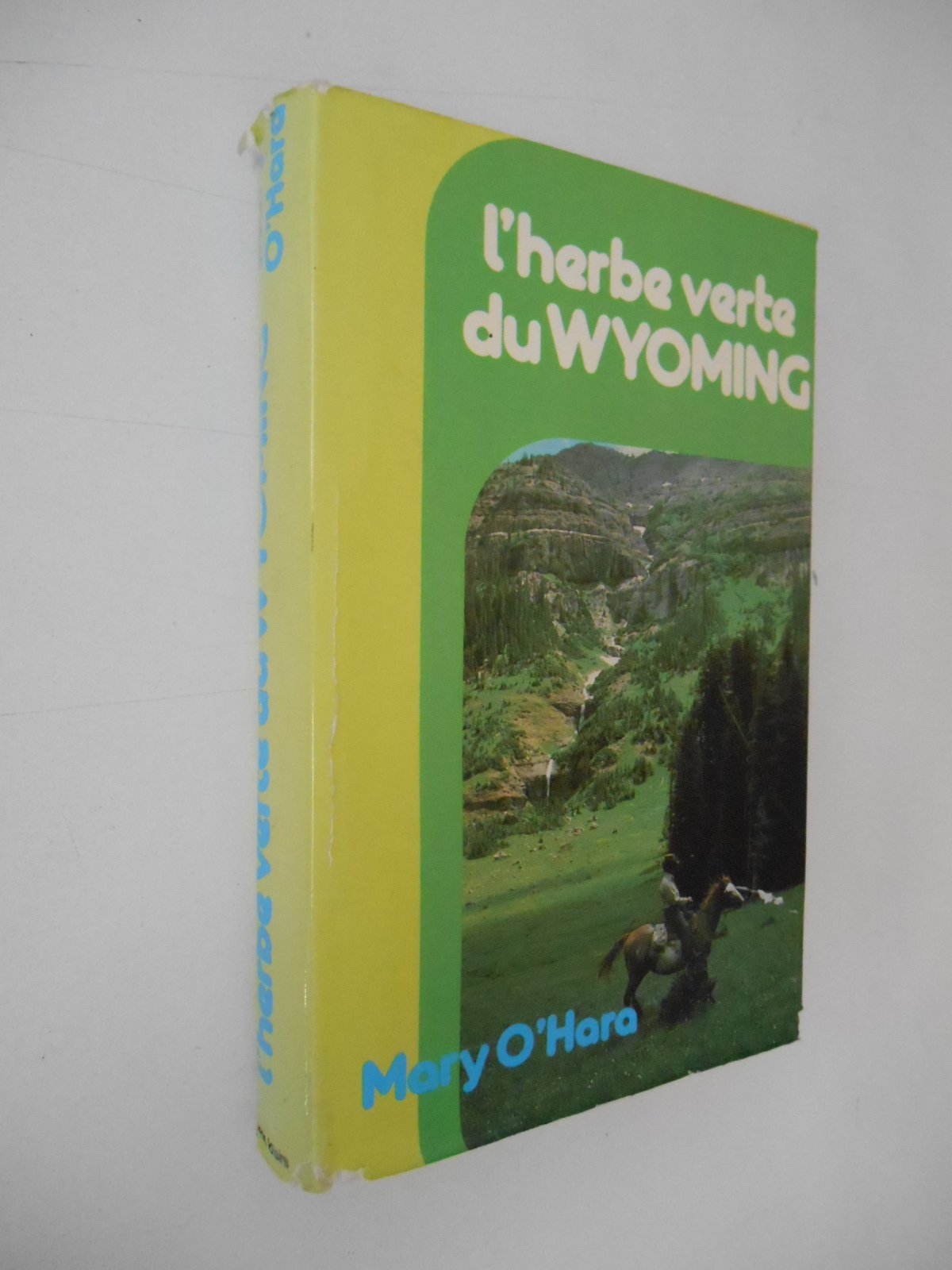 L'Herbe verte du Wyoming book