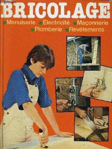 BRICOLAGE - MENUISERIE / ELECTRICITE / MACONNERIE / PLOMBERIE / REVETEMENTS. Books