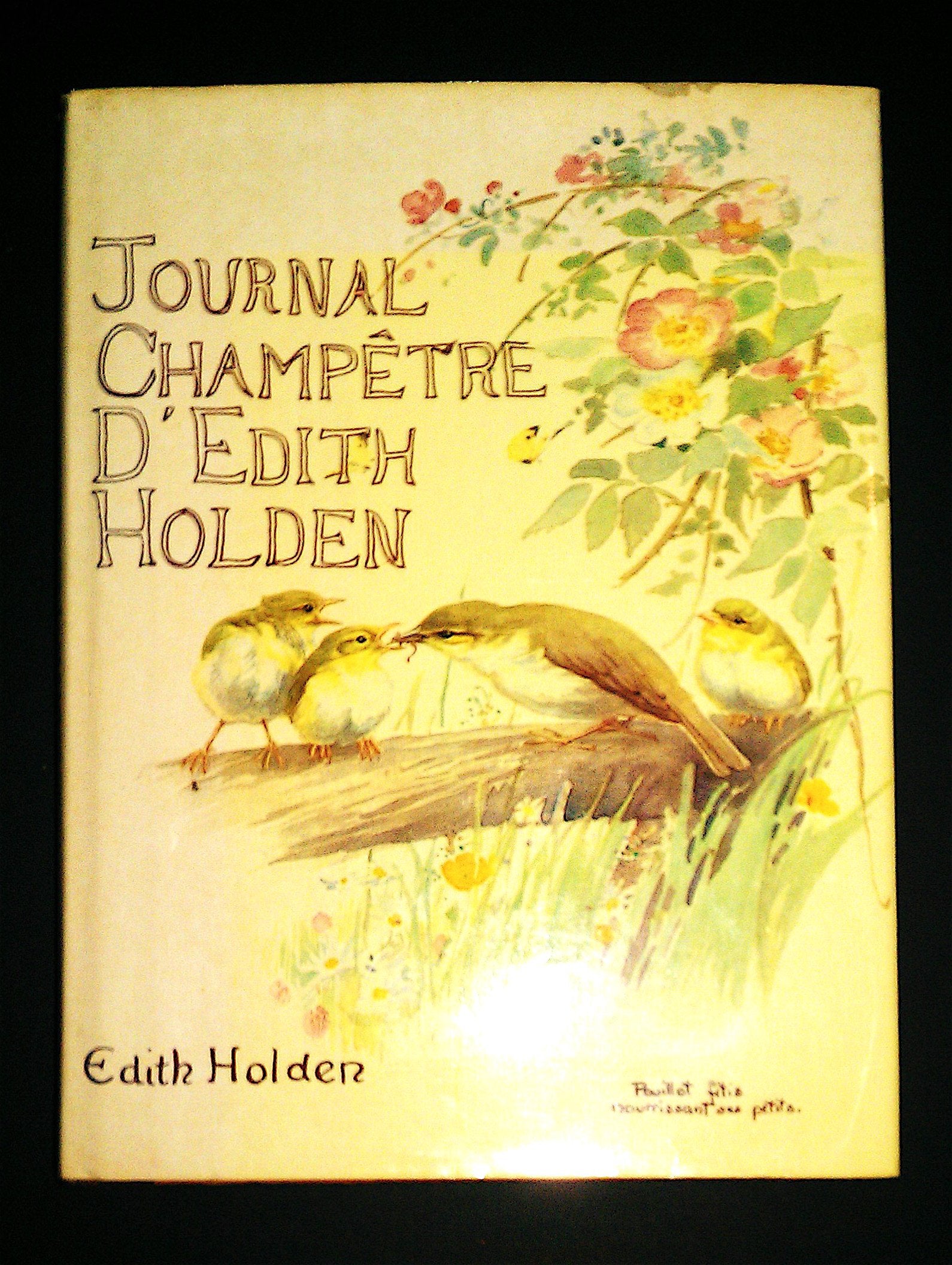 Journal champêtre d'Edith Holden : Notes de la vie rustique sous le règne d'Edouard VII Books
