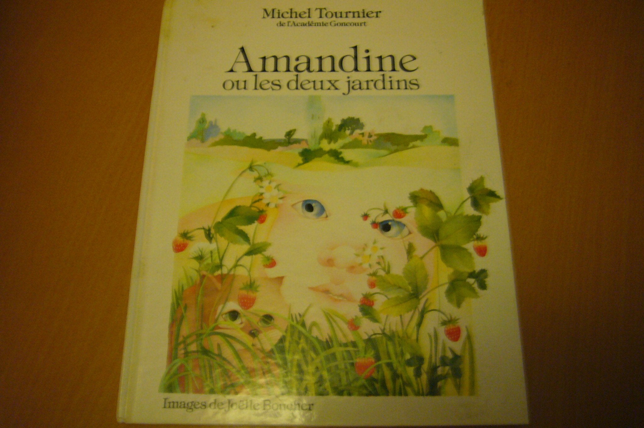 Amandine ou les Deux jardins Books