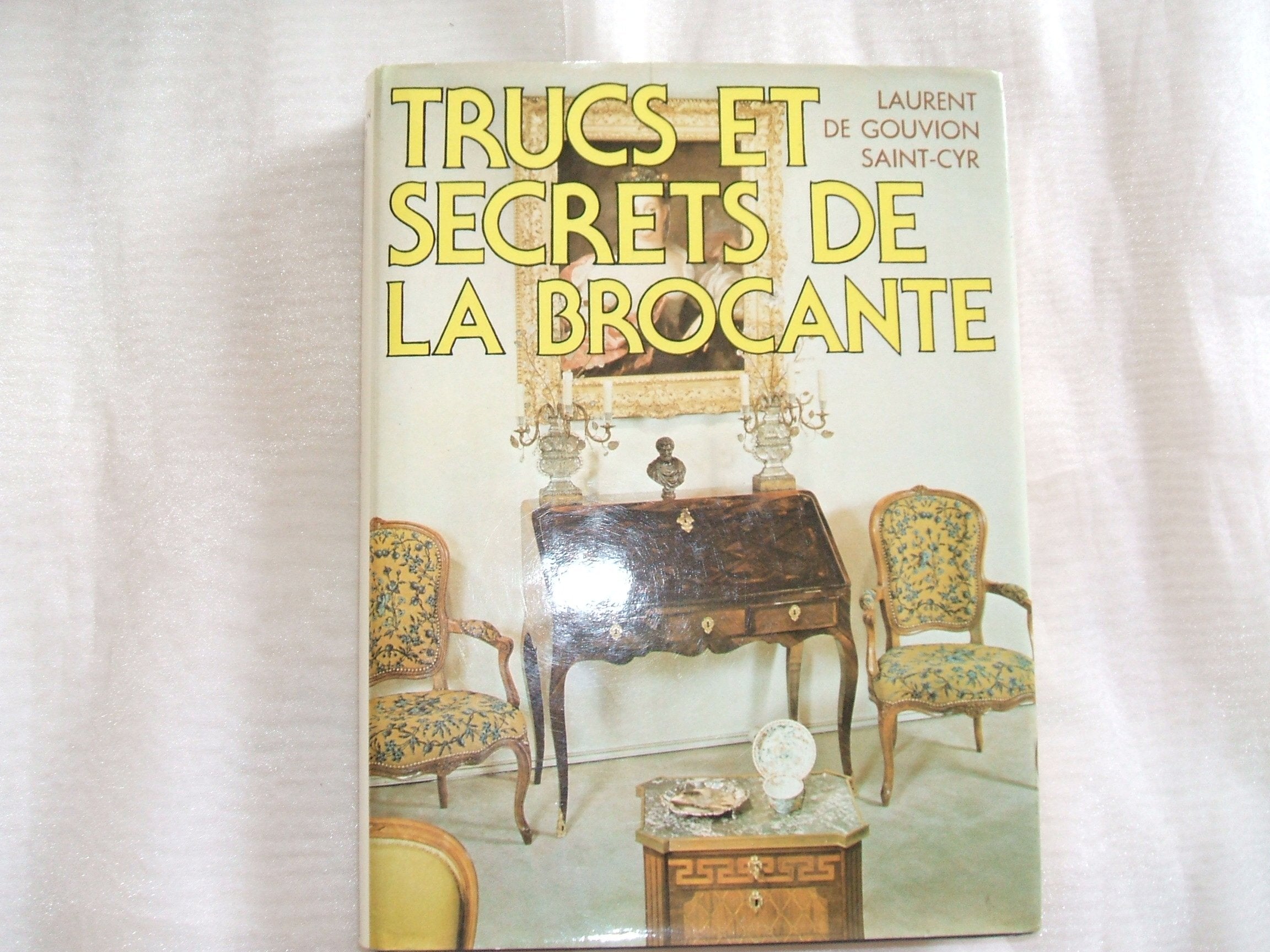 Trucs et secrets de la brocante : Guide de l'amateur d'antiquités book