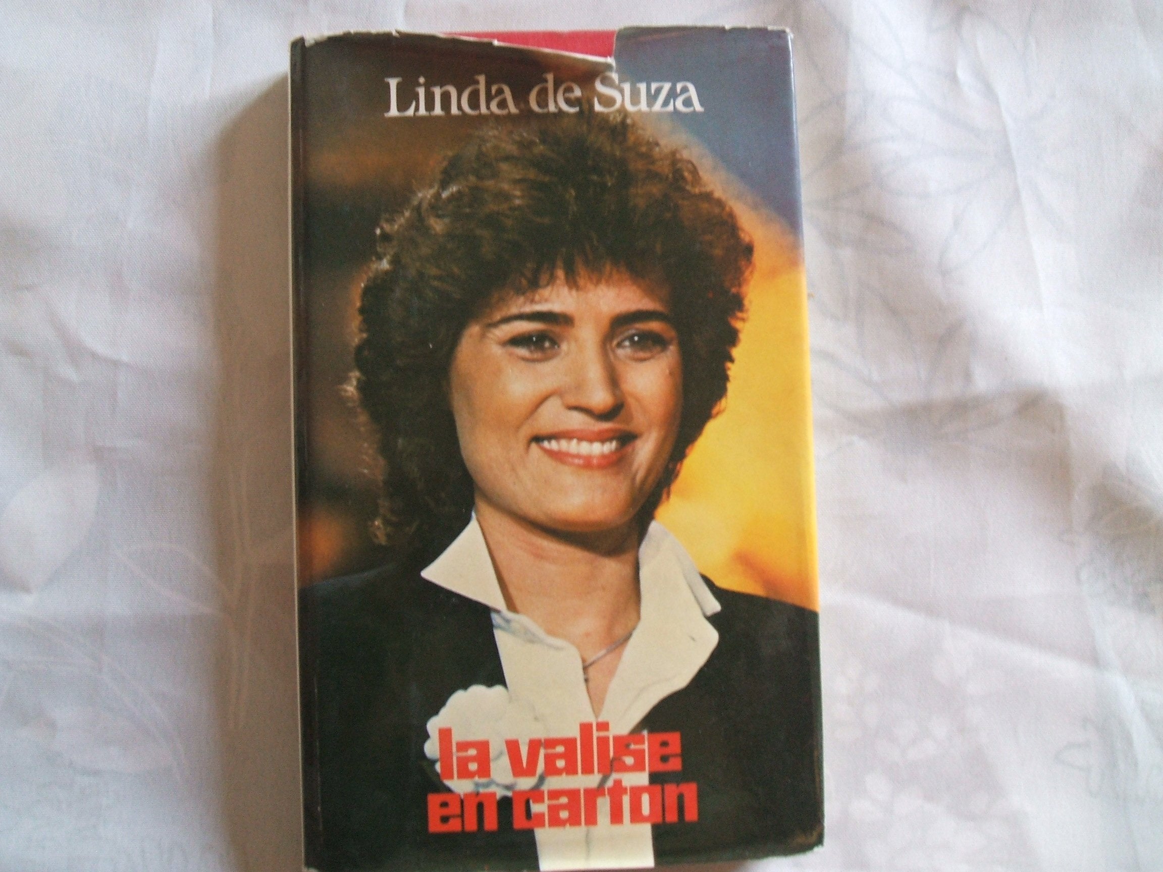 La valise en carton Books