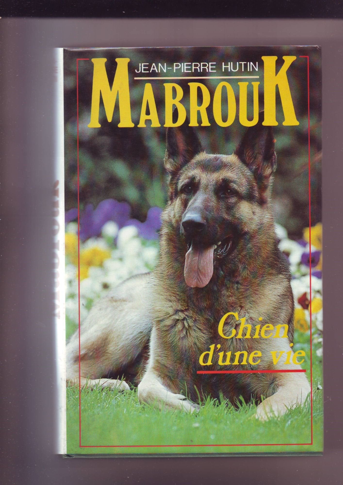 Mabrouk : Chien d'une vie Books