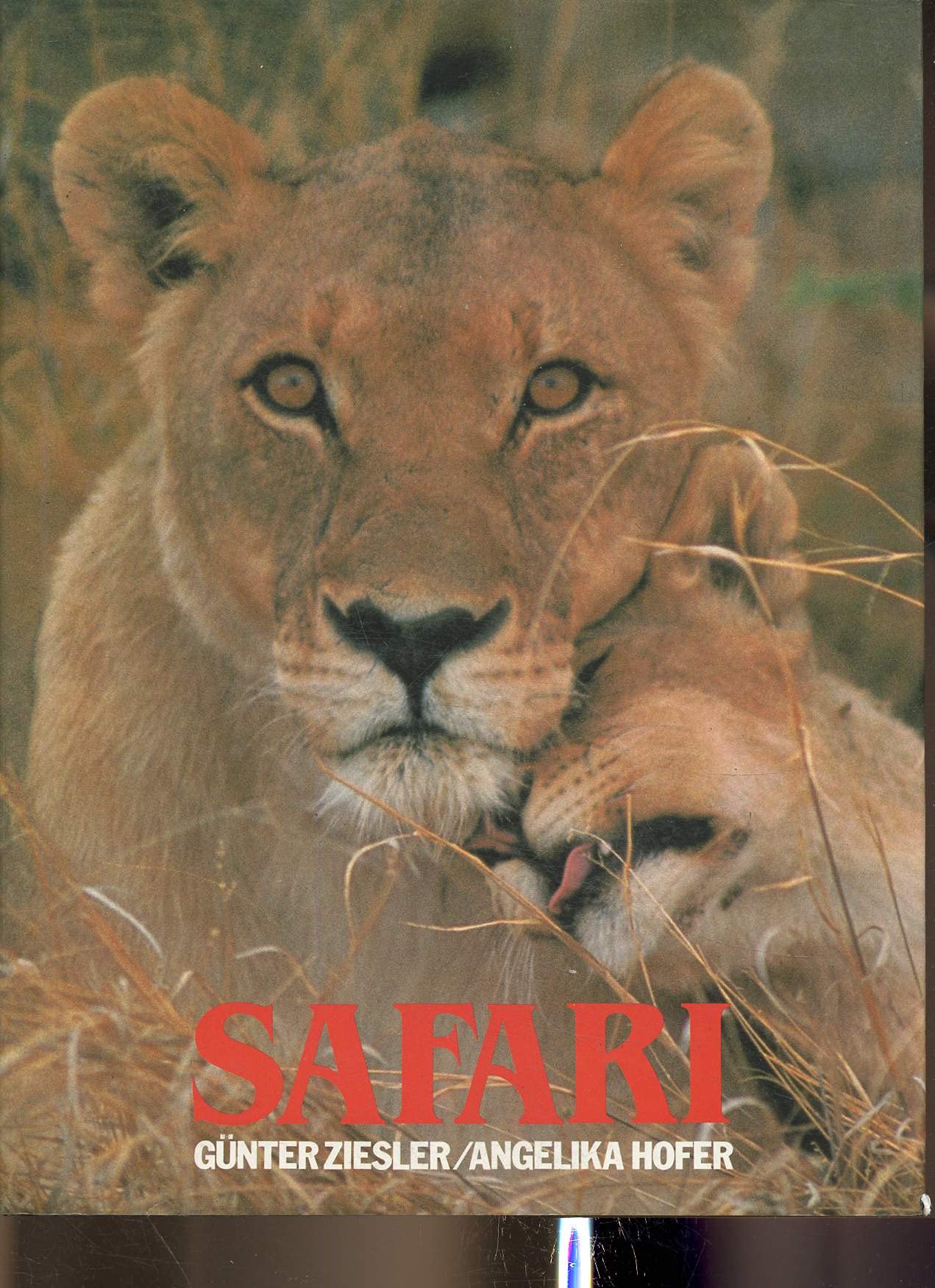SAFARI , les carnets de bord d'un photographe animalier au Kenya. book