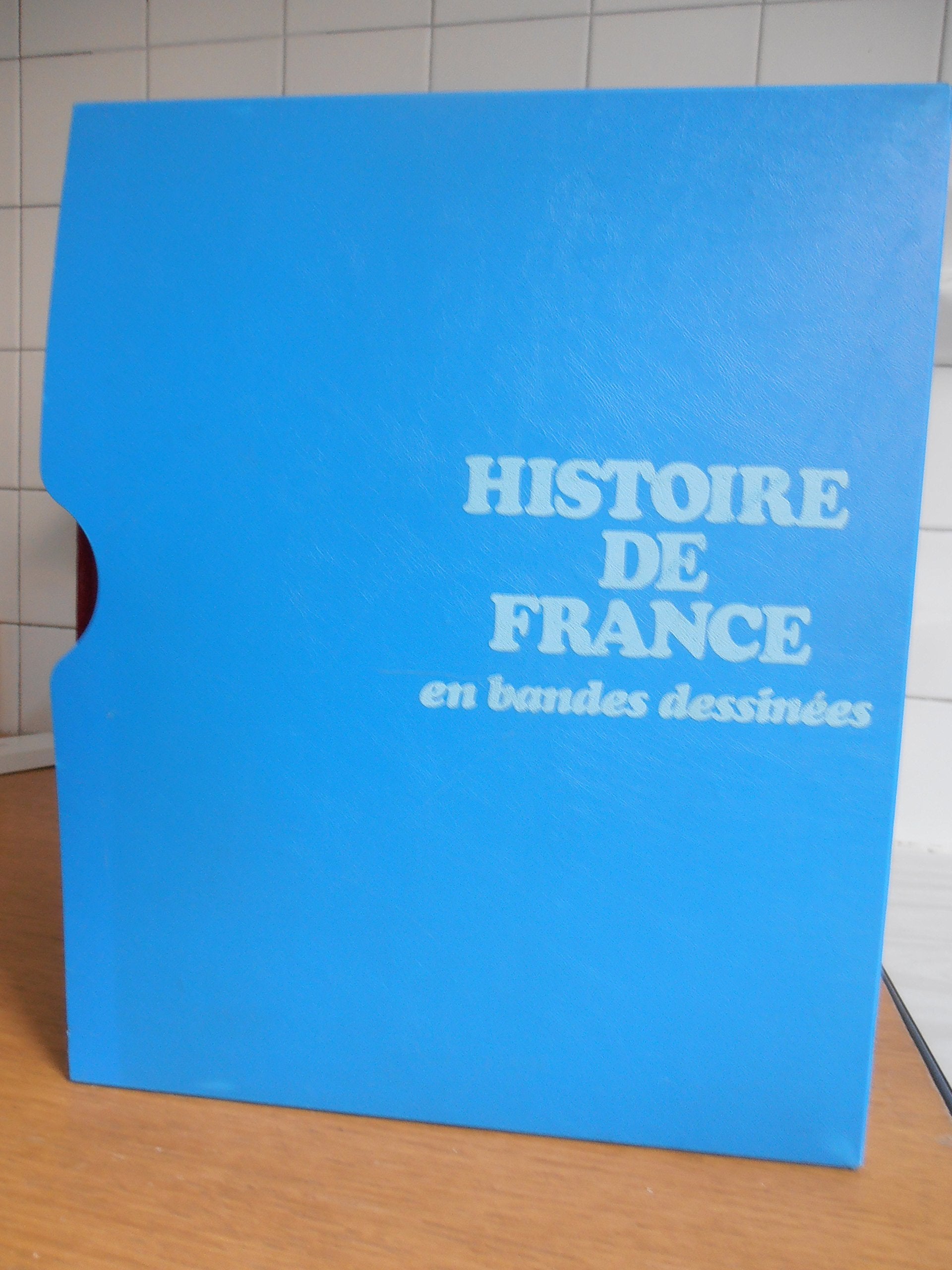 Histoire de France en Bandes Dessinées. De Vercingétorix aux Vikings Books
