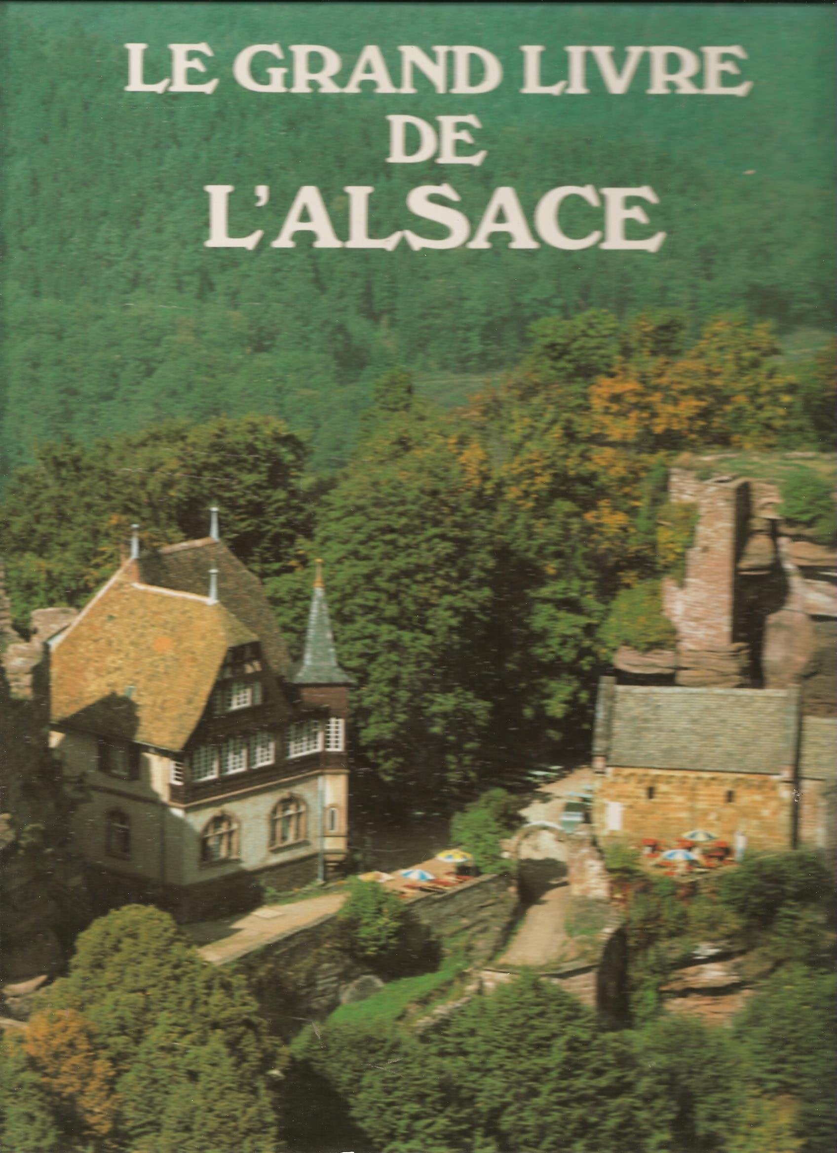 Le grand livre de l'alsace book