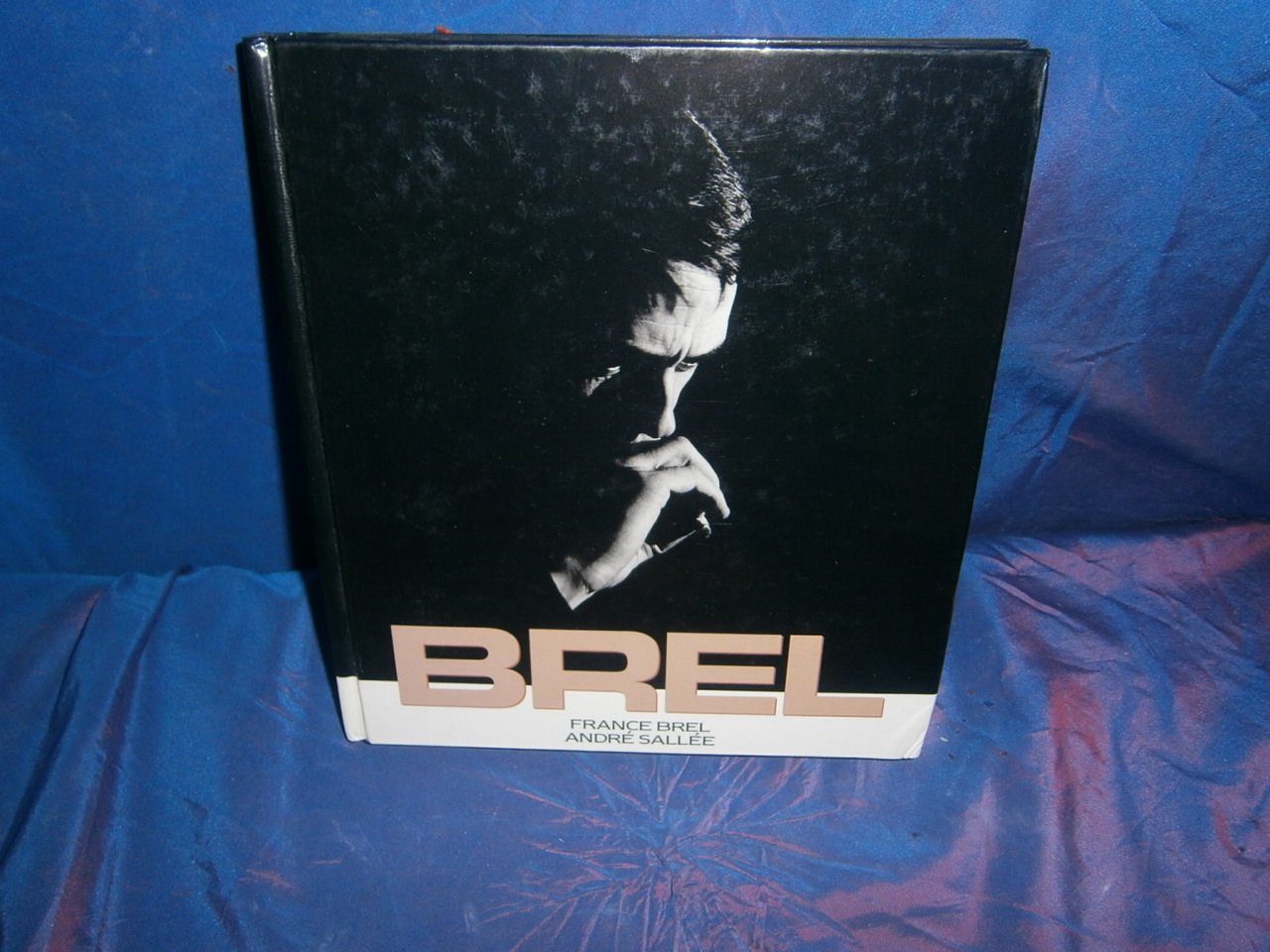 Brel, France Brel, André Sallée book