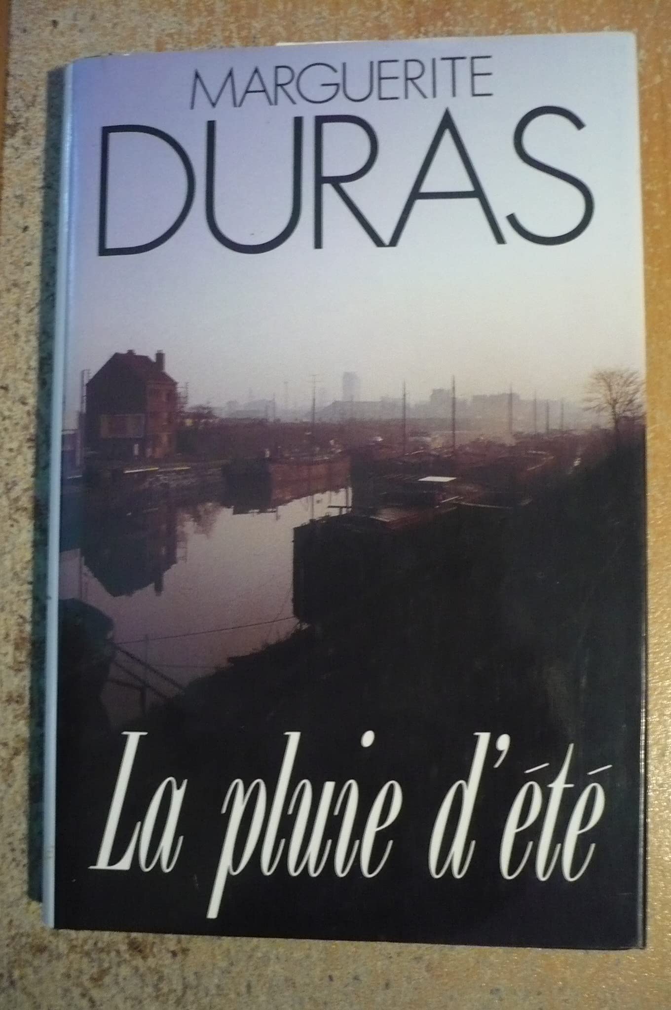La pluie d'été book