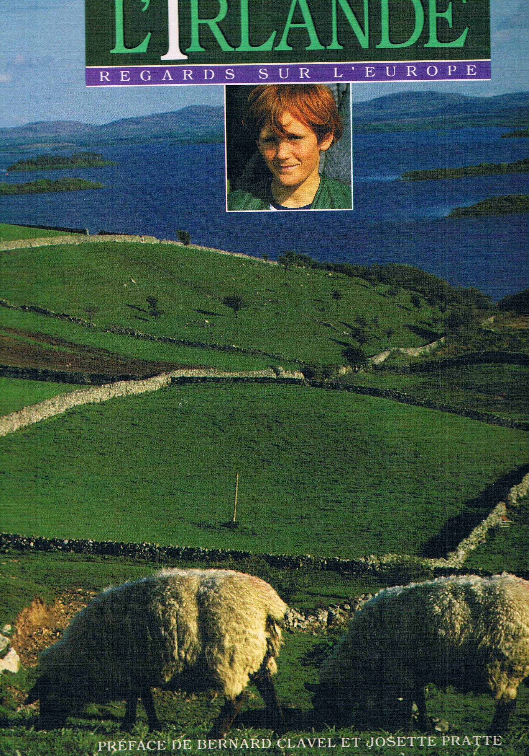 L'Irlande Regards sur l'Europe book