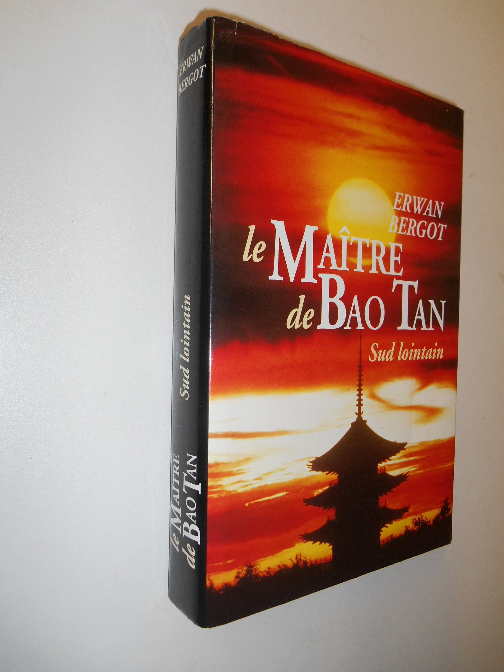 Sud lointain. 3. Le maître de Bao Tan Books