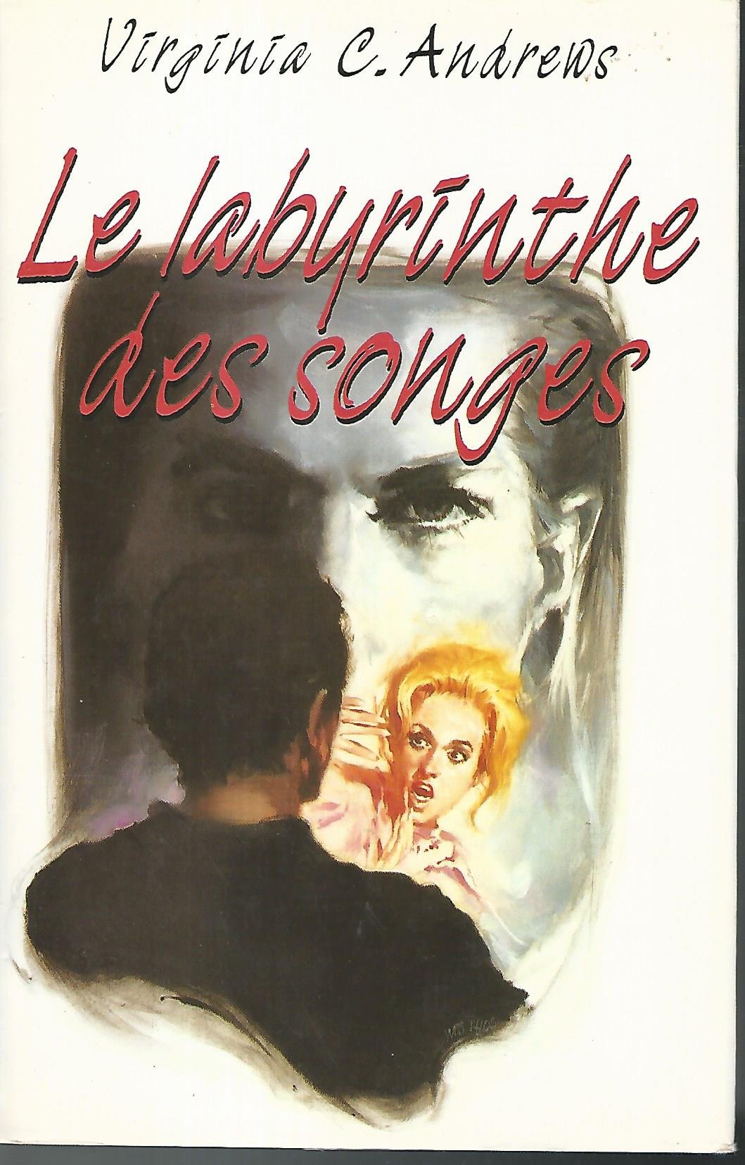Le labyrinthe des songes (La Saga de Heaven Tome 5) book