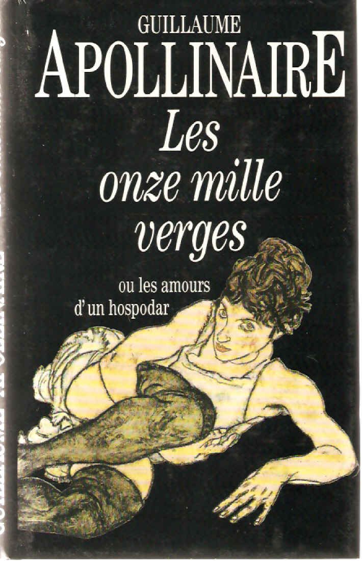 Les onzes milles verges ou Les amours d'un Hospodar. book