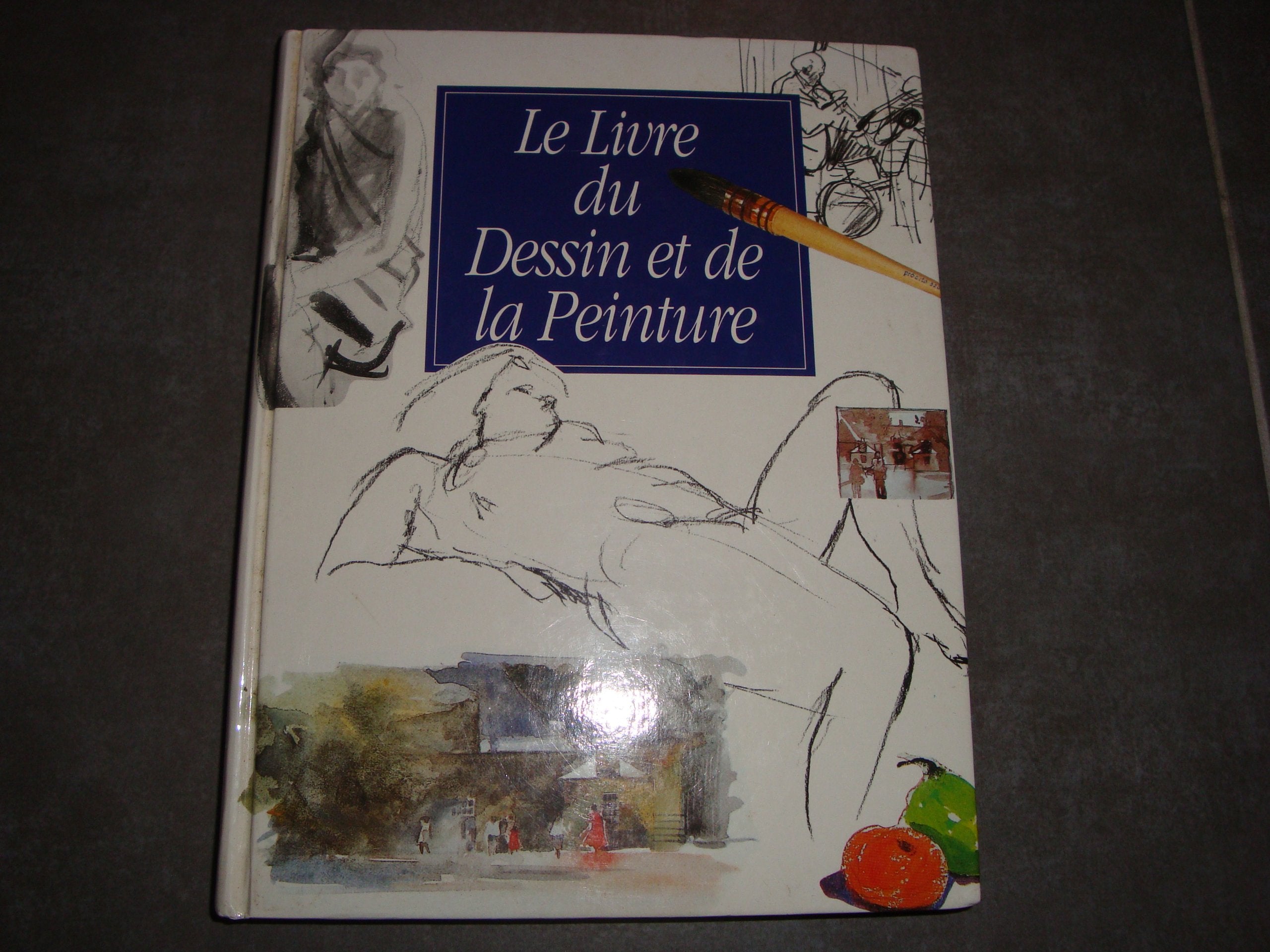Le livre du dessin et de la peinture book
