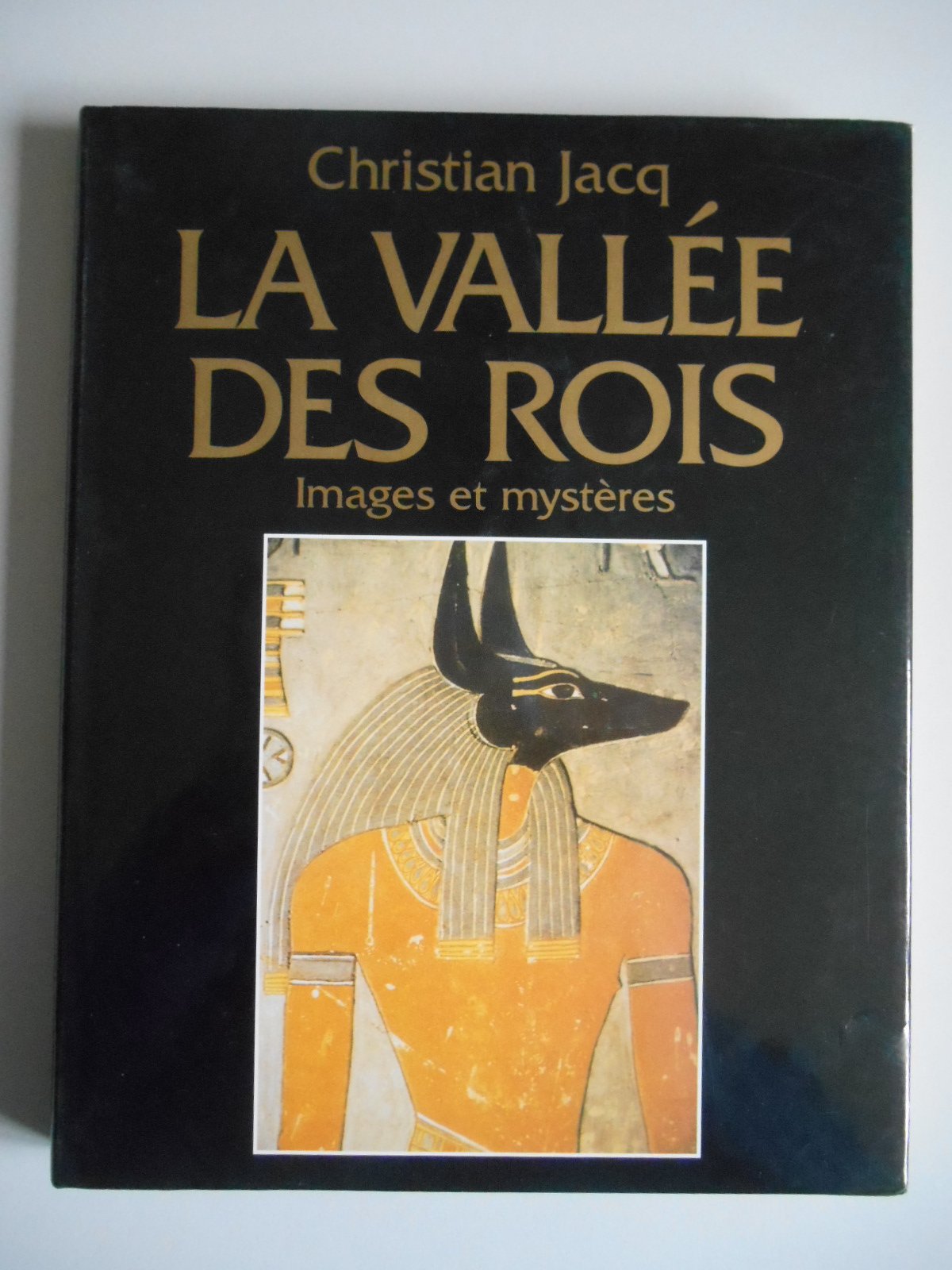 La vallée des rois - images et mystères book