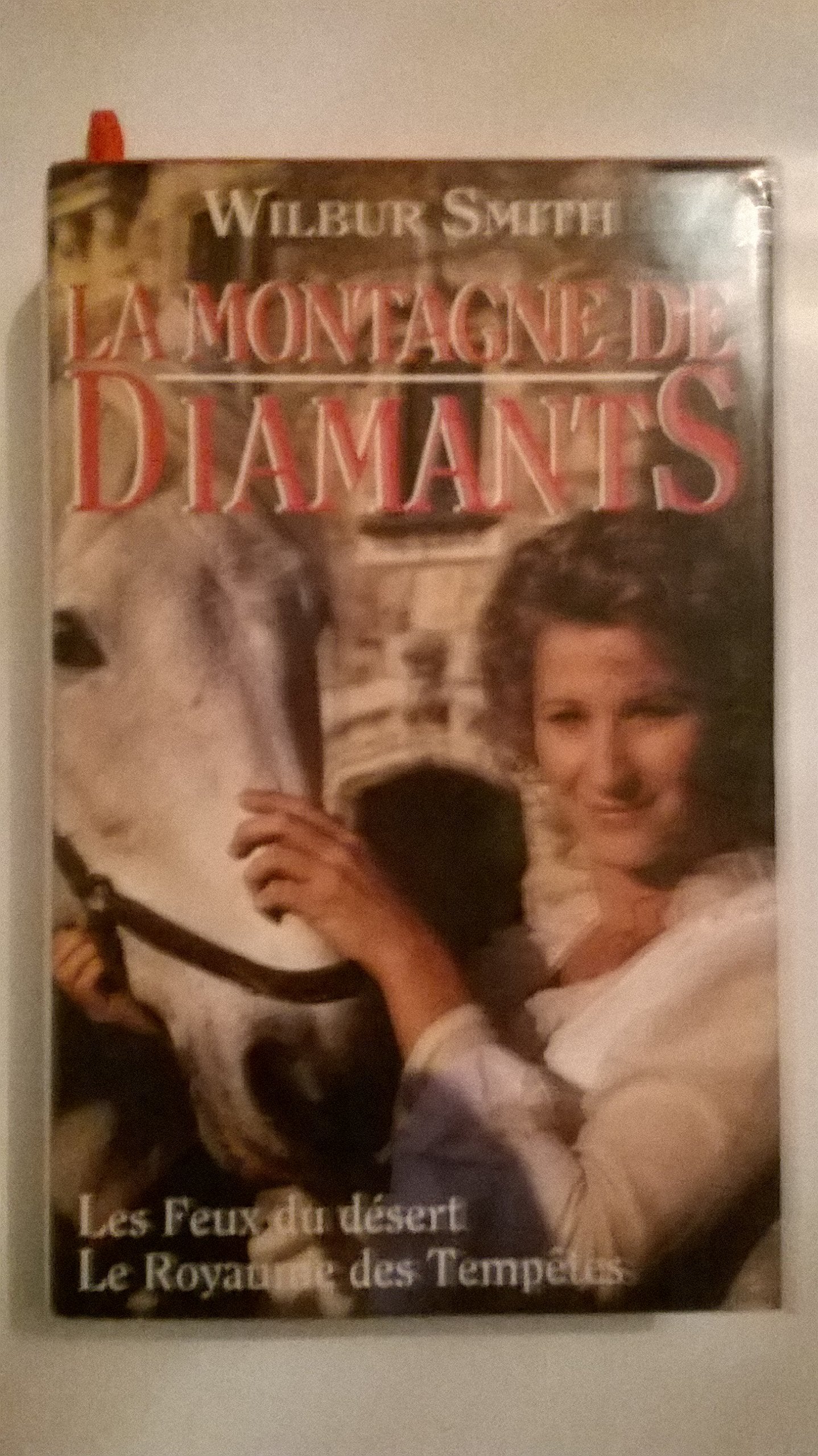 LA MONTAGNE DE DIAMANTS.TOME 1.LES FEUX DU DESERT.2.LE ROYAUME DES TEMPETES book